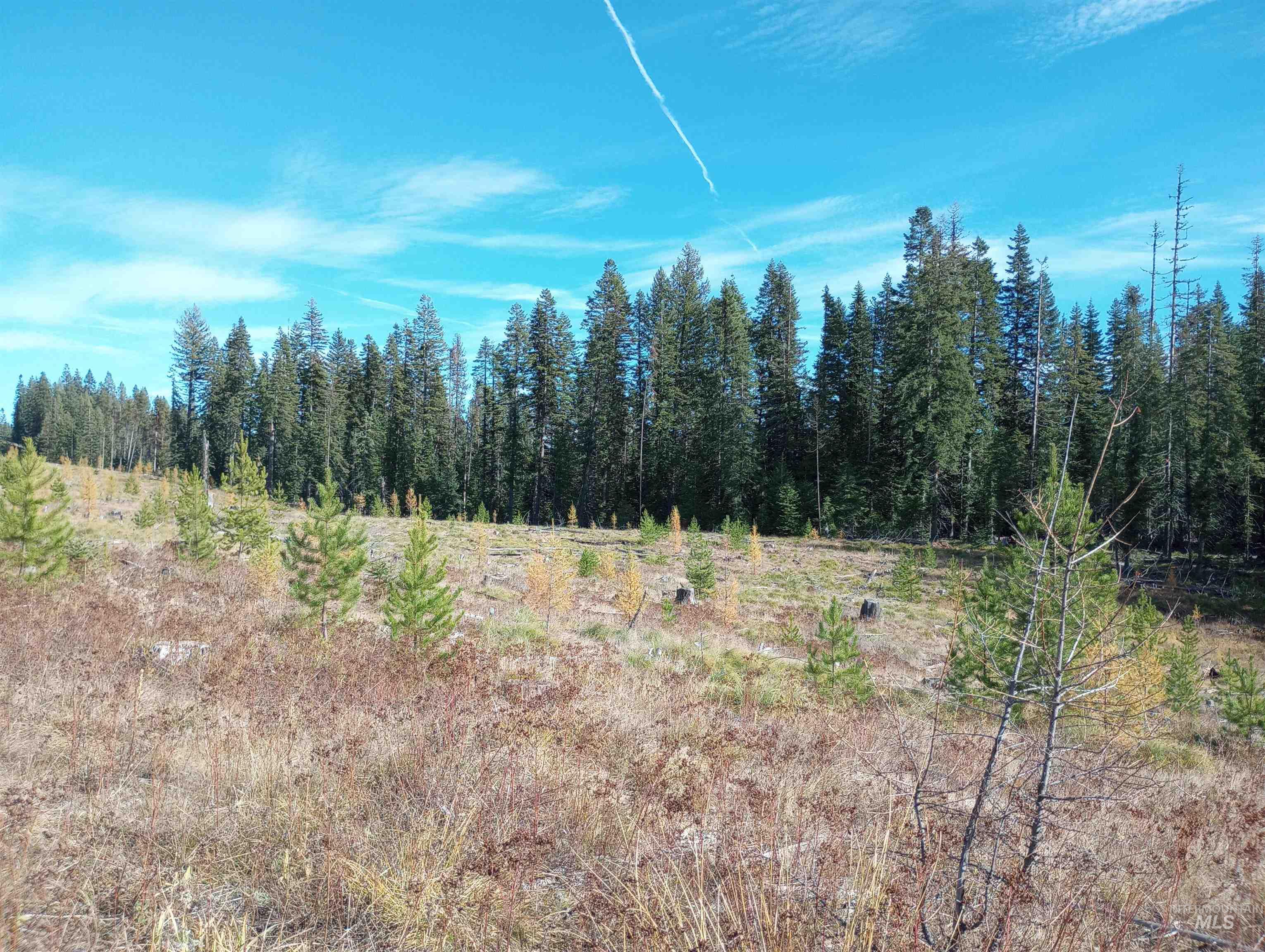 Tbd French Gulch Parcel 3 Property Photo 11