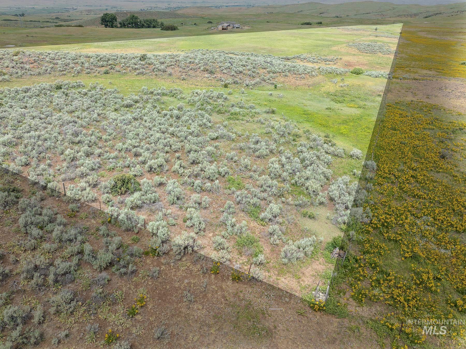 Tbd Jacks Rd Property Photo 3