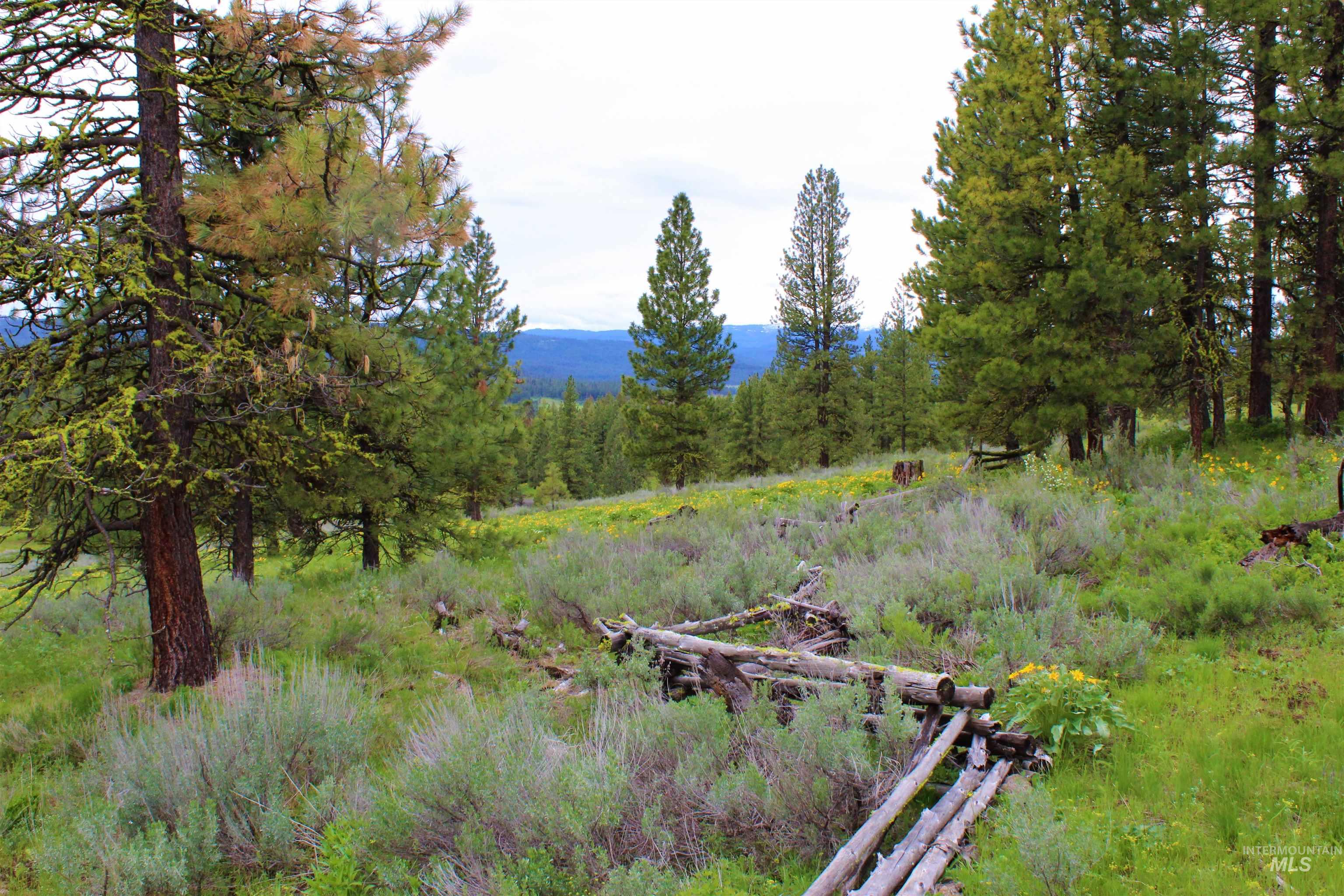 3000 Fish Lake Road Property Photo 5