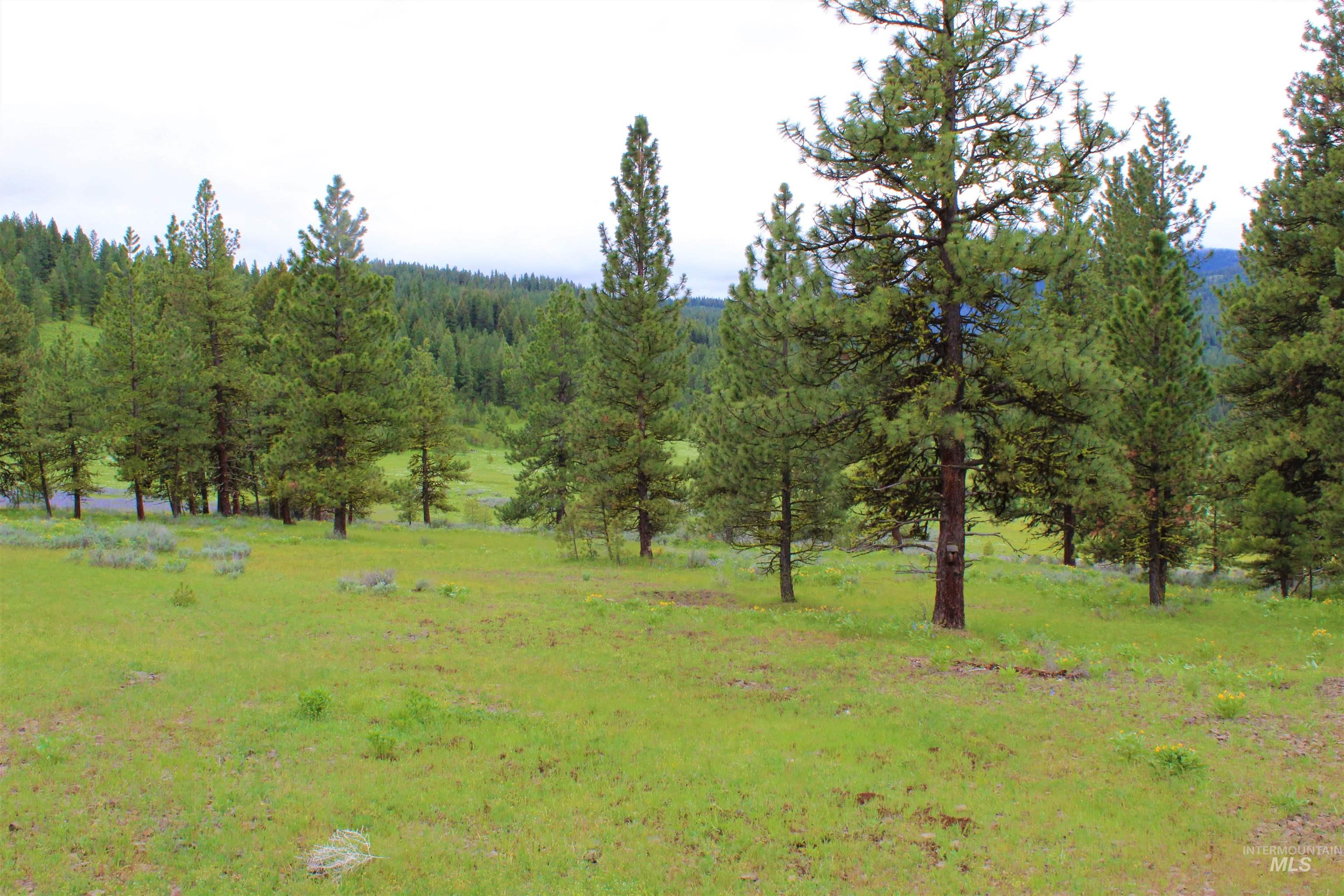 3000 Fish Lake Road Property Photo 7