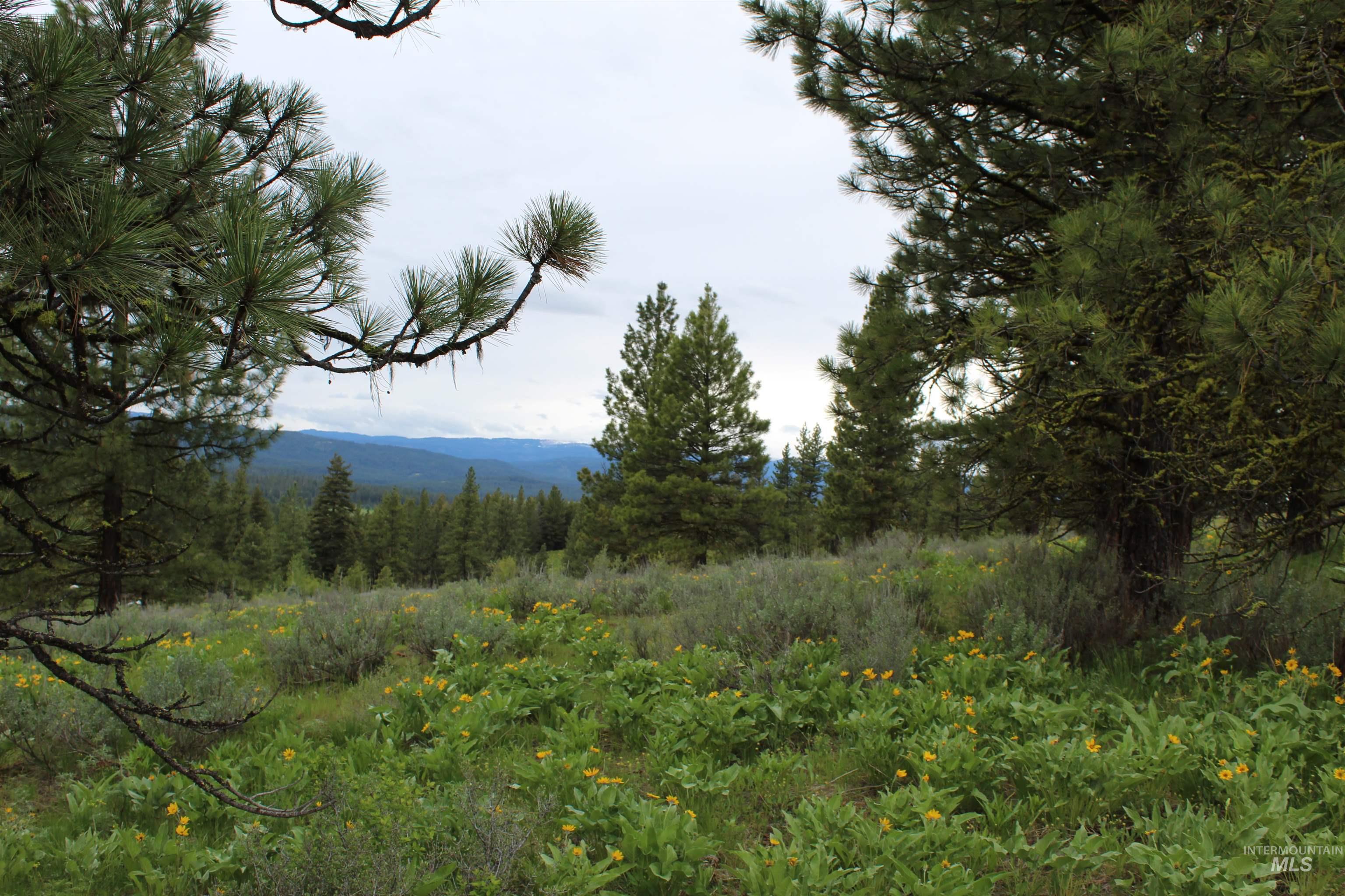 3000 Fish Lake Road Property Photo 36