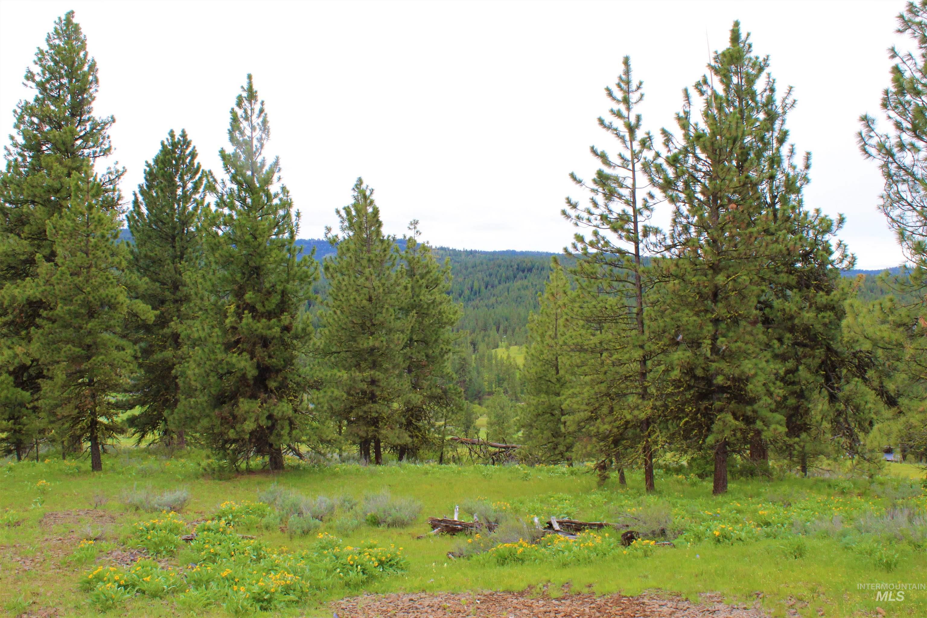 3000 Fish Lake Road Property Photo 43