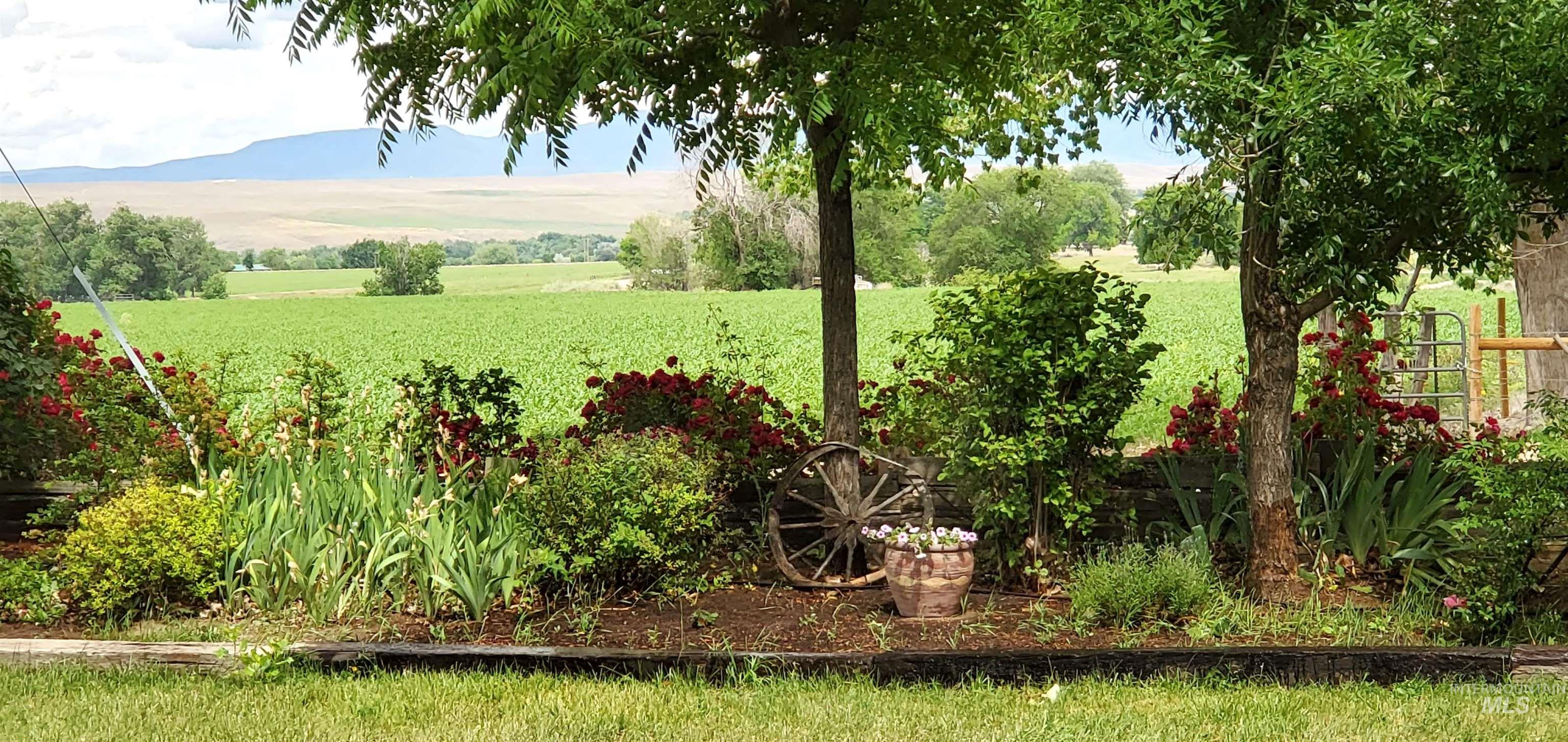 5367 Sand Hollow Rd Property Photo 6