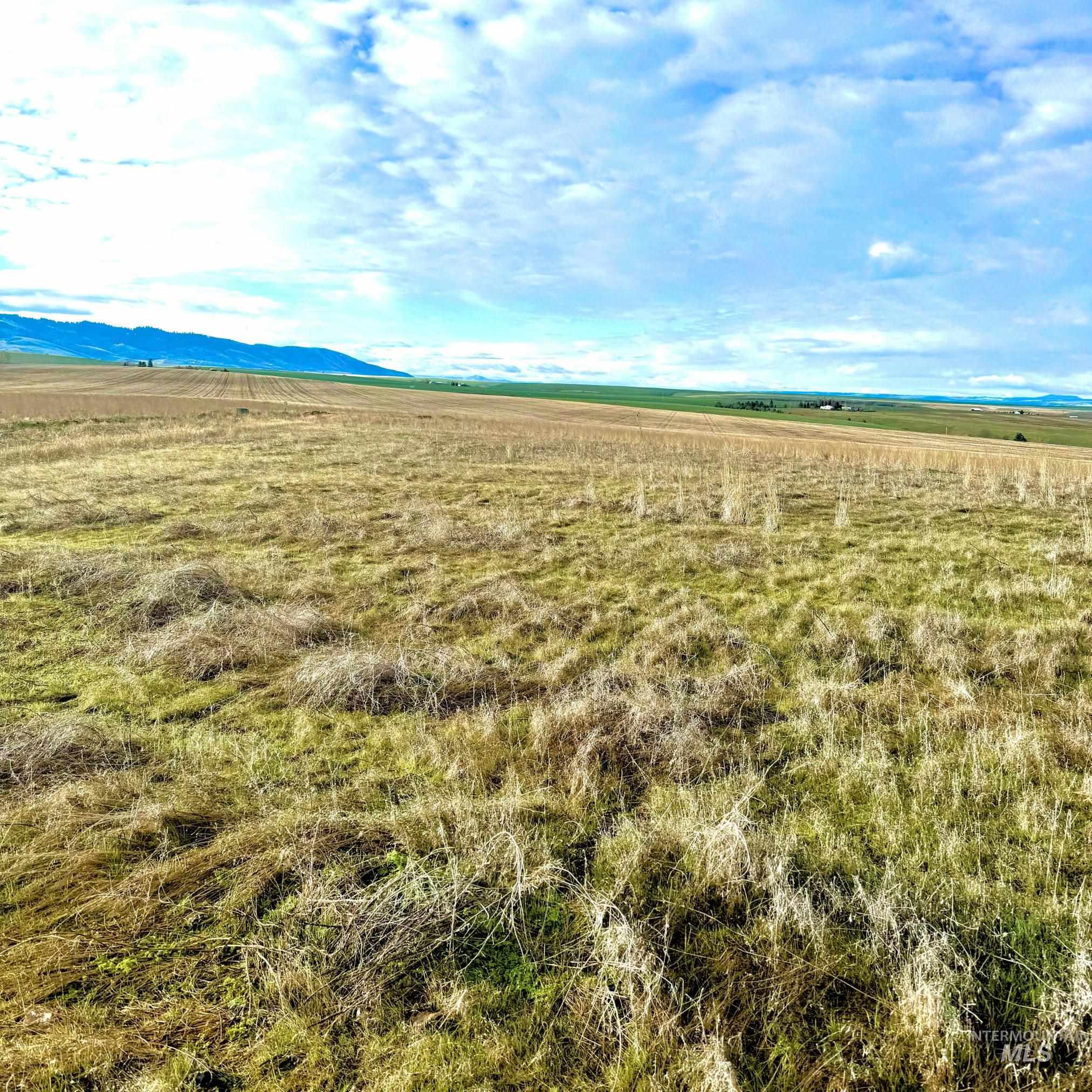 TBD Lot 17 A Pheasant Loop Rd