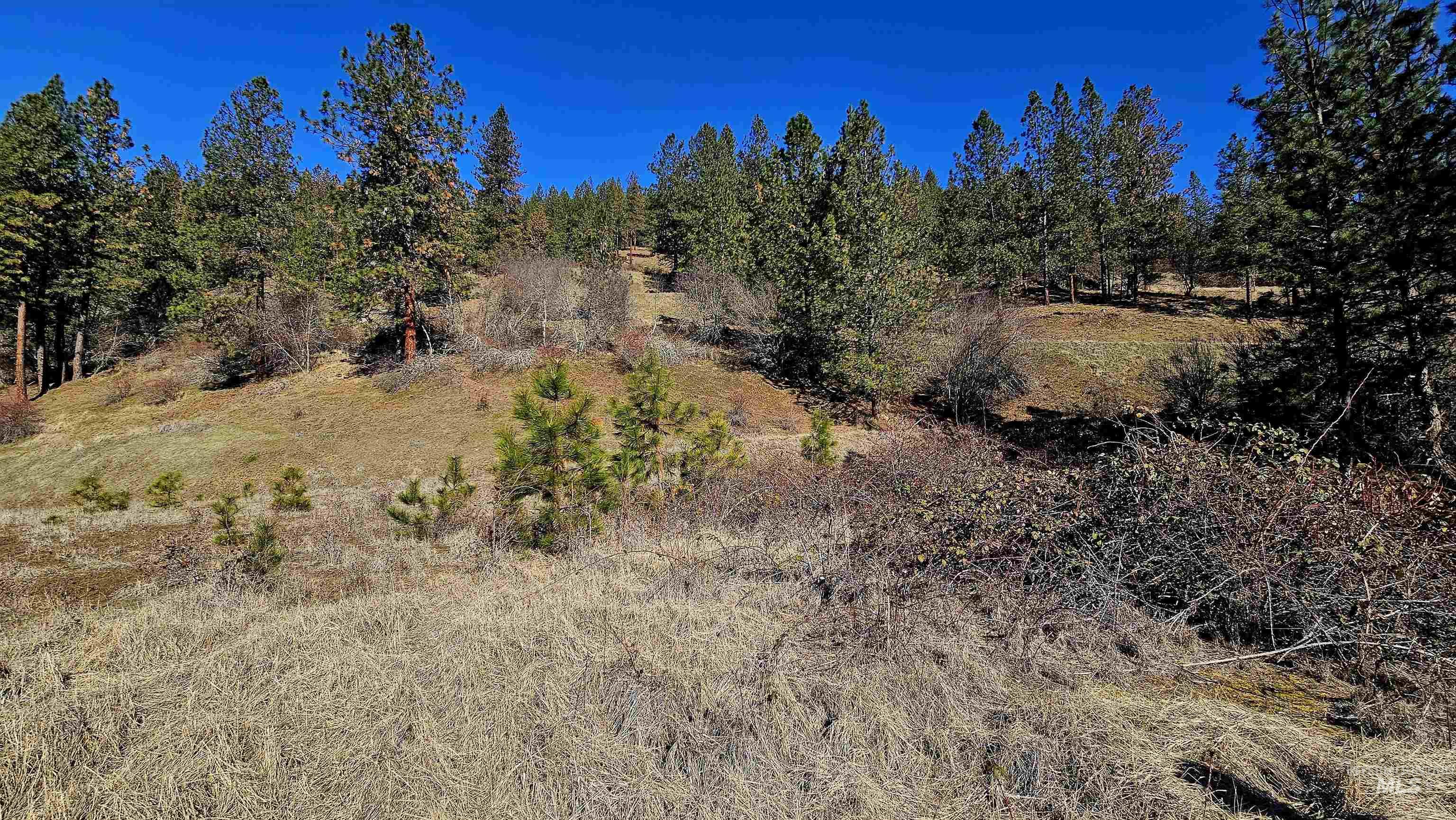 618 Quail Dr Property Photo 35