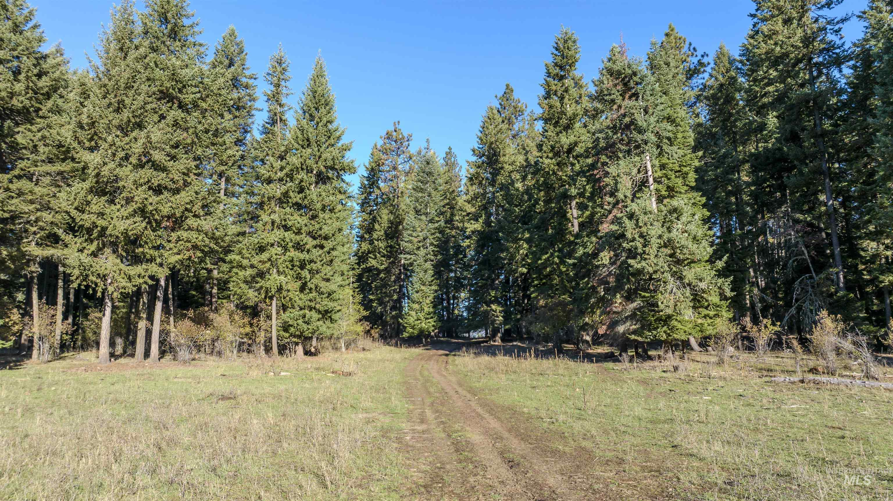Nka 320acs Summer Rd Property Photo 12