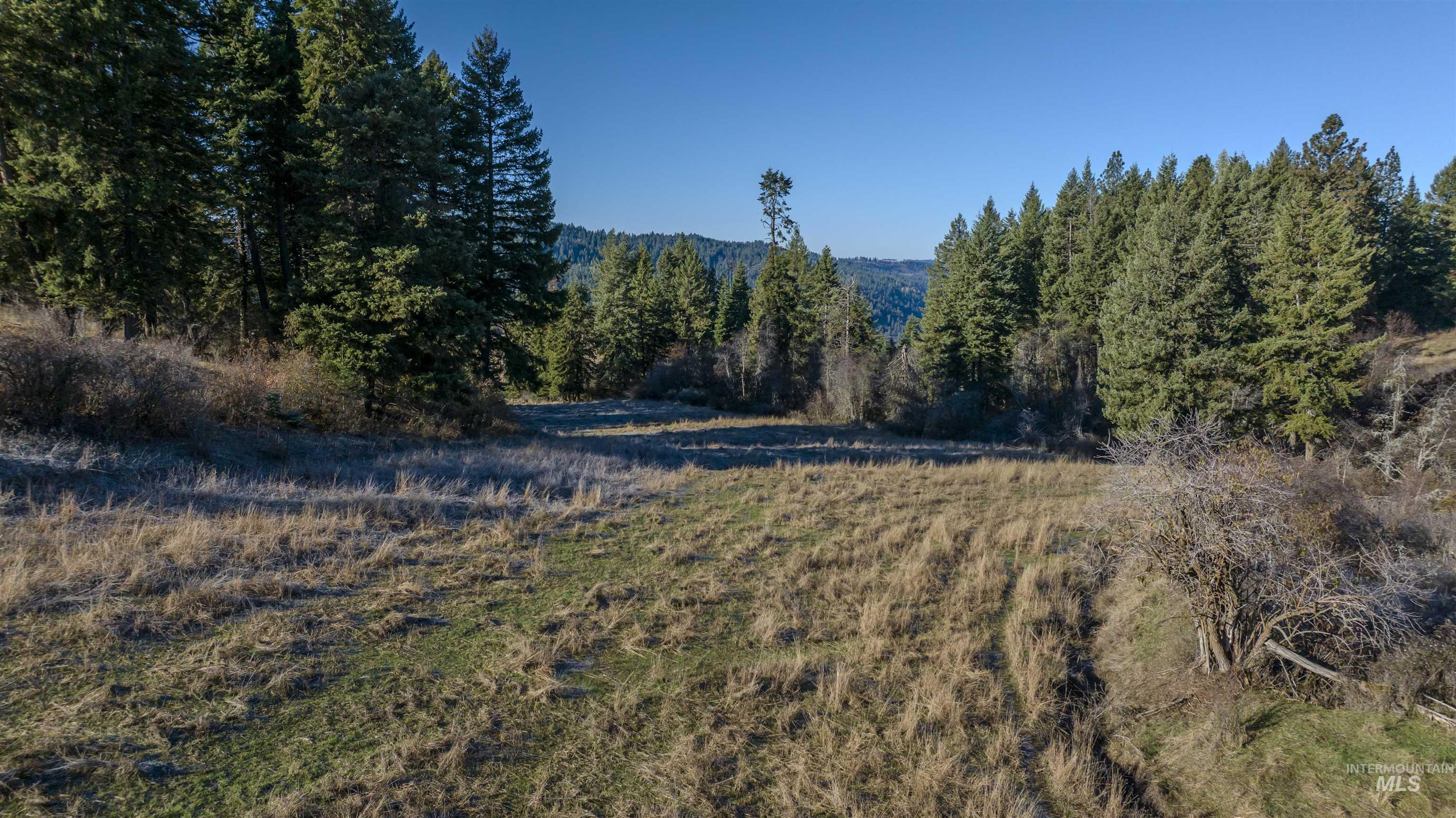 Nka 320acs Summer Rd Property Photo 13