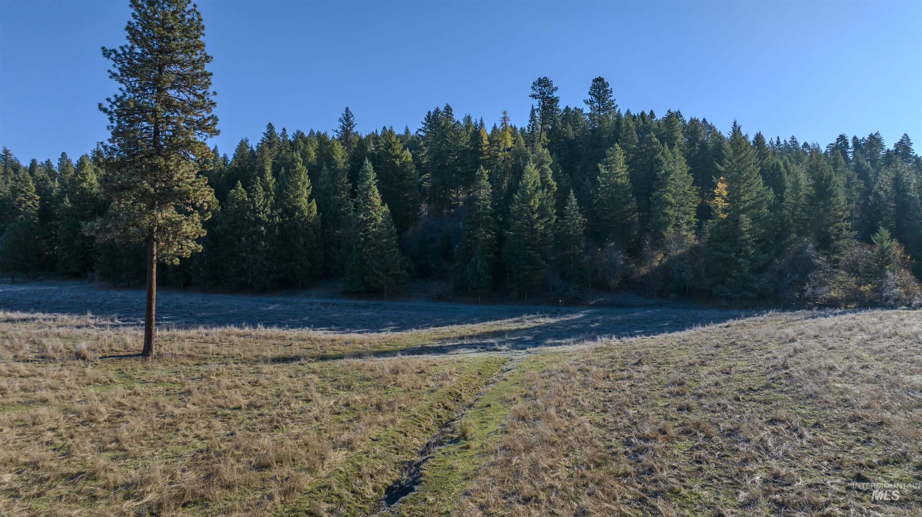 Nka 320acs Summer Rd Property Photo 15