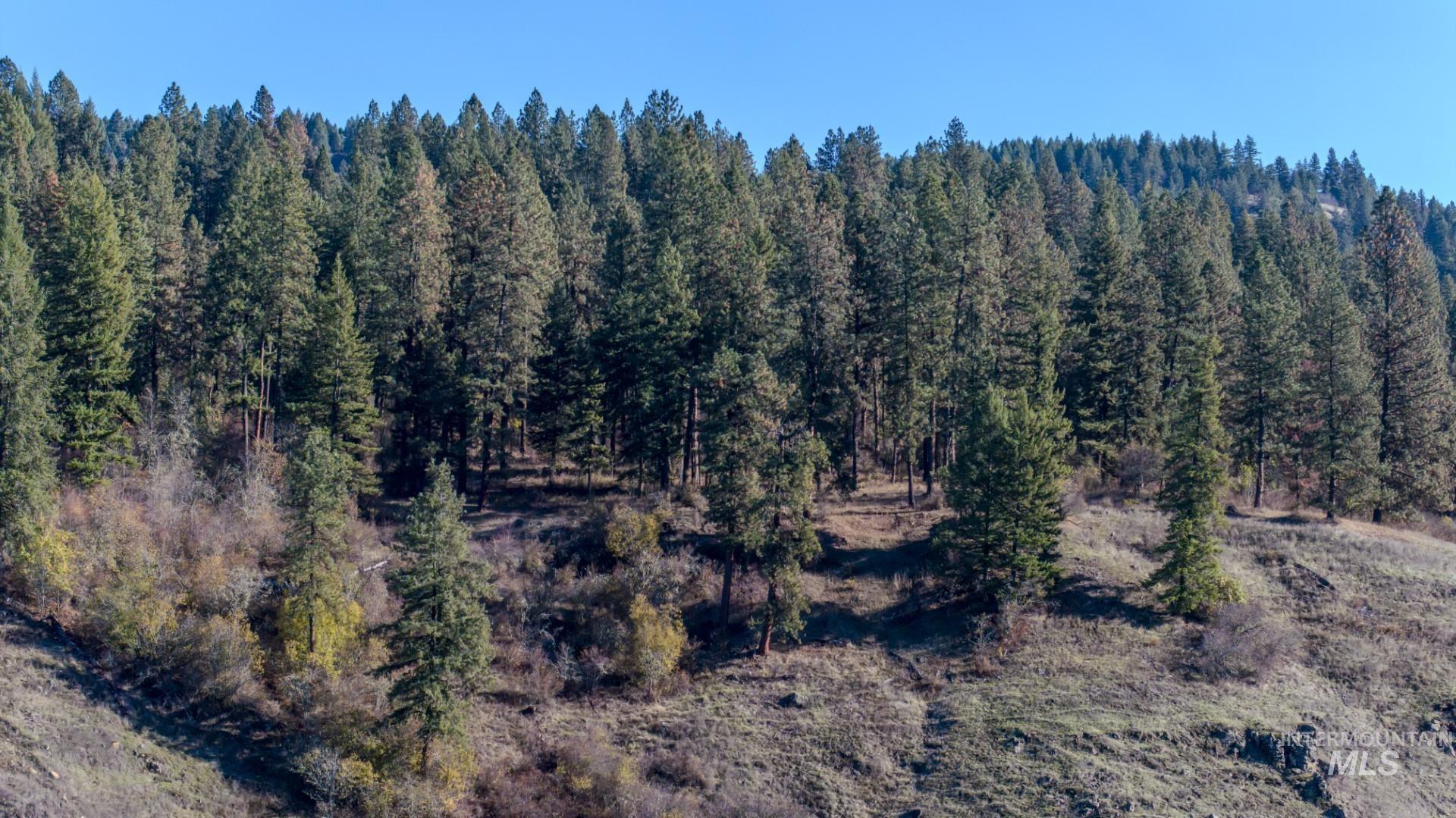Nka 320acs Summer Rd Property Photo 33