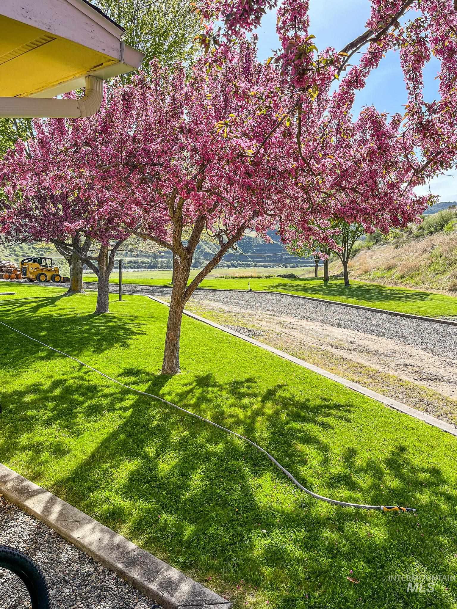 138 River Mountain Road Property Photo 4