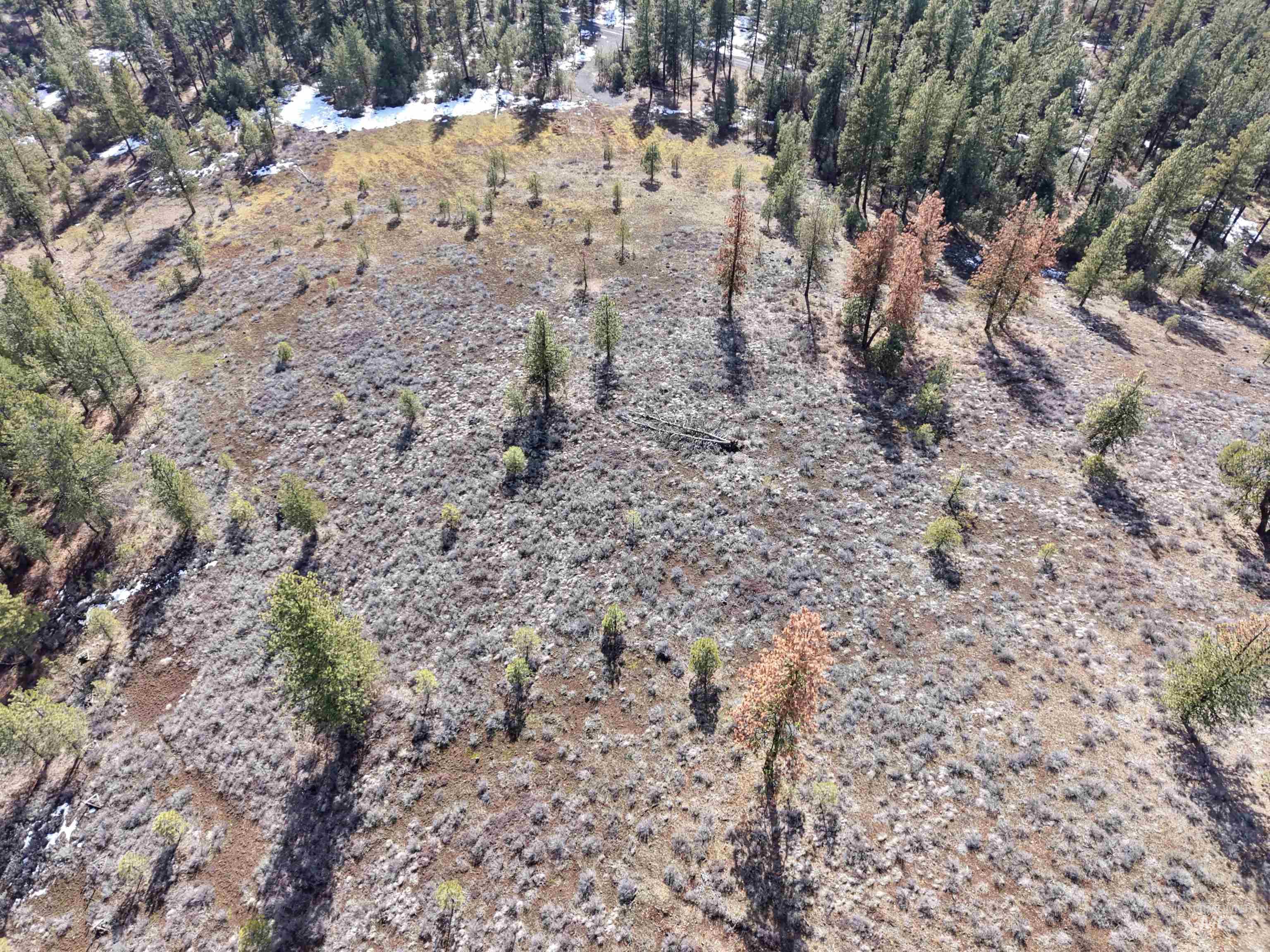 Lot 6 Bloc Van Dorn Estates Property Photo 3