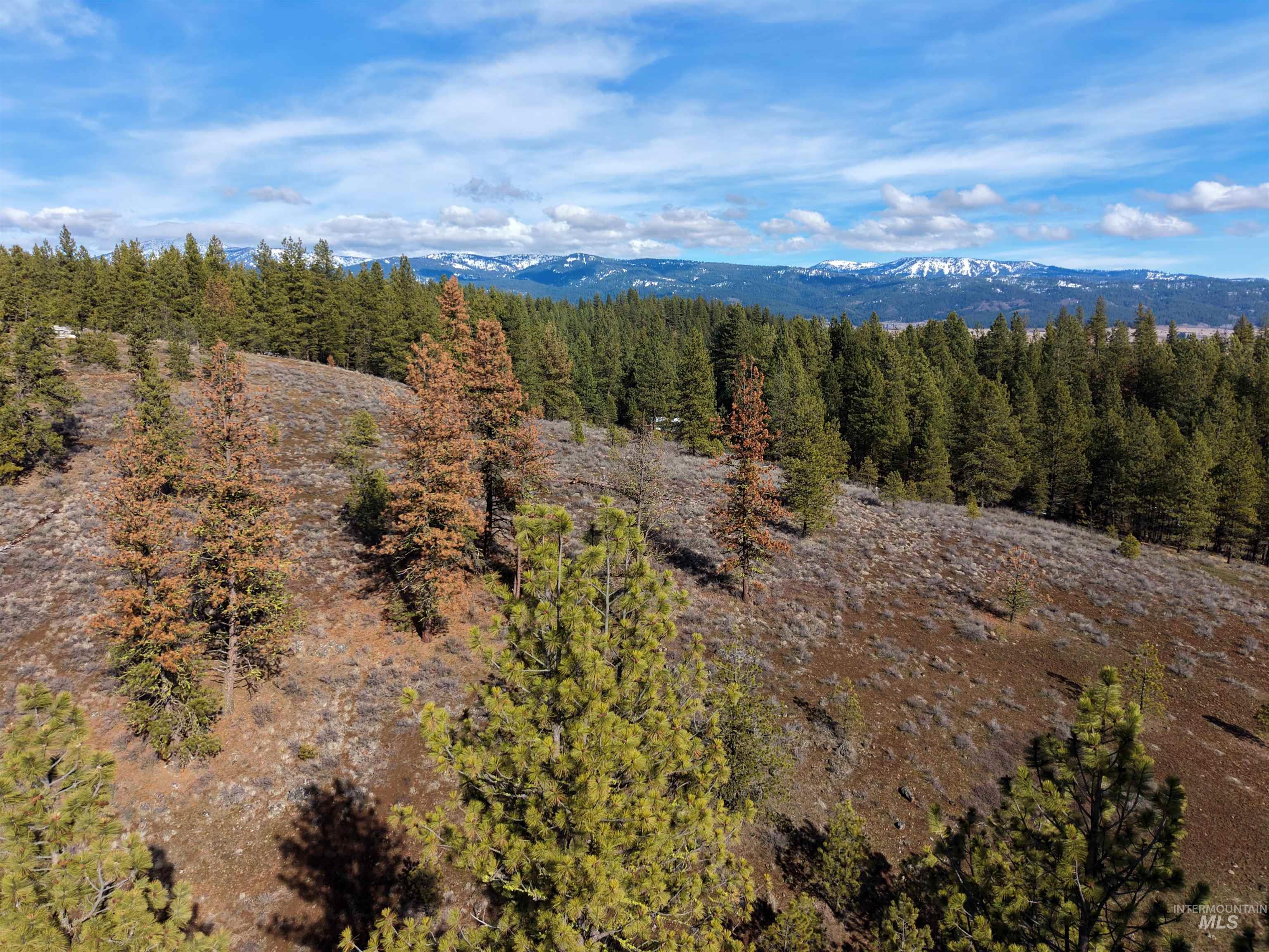 Lot 6 Bloc Van Dorn Estates Property Photo 7