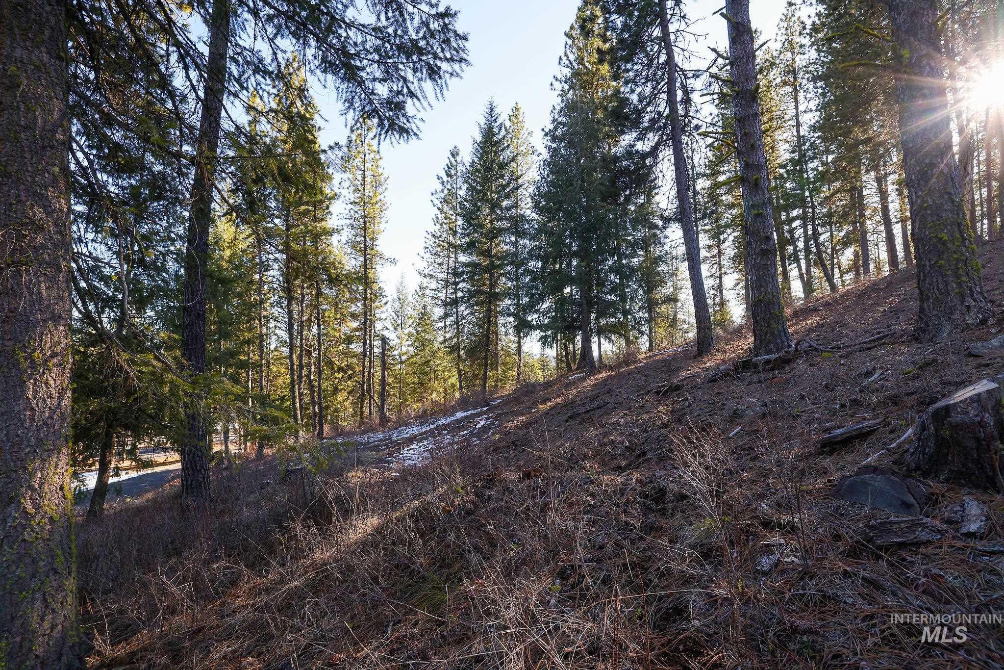 Lot 7 Camas Dr Property Photo 1