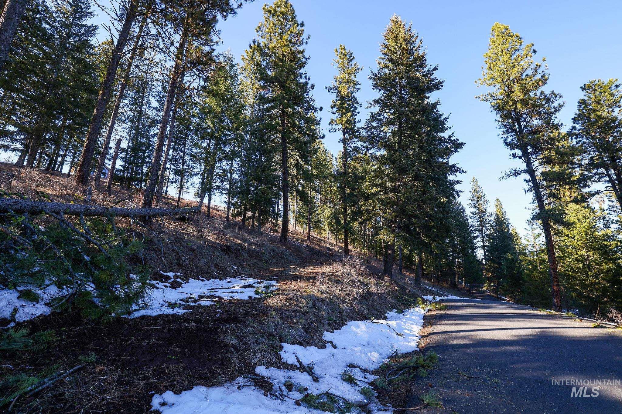 Lot 7 Camas Dr Property Photo 2