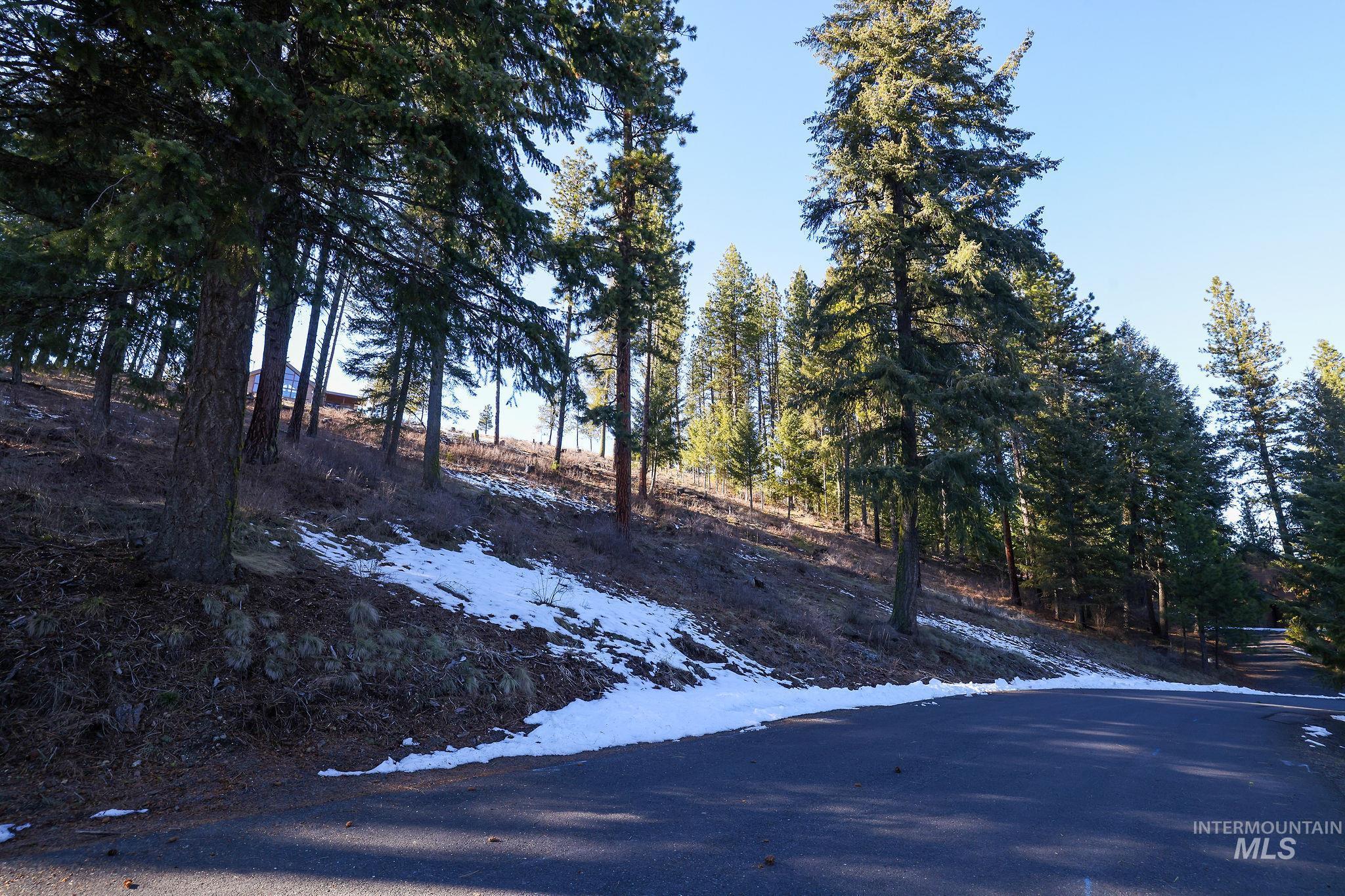 Lot 7 Camas Dr Property Photo 3