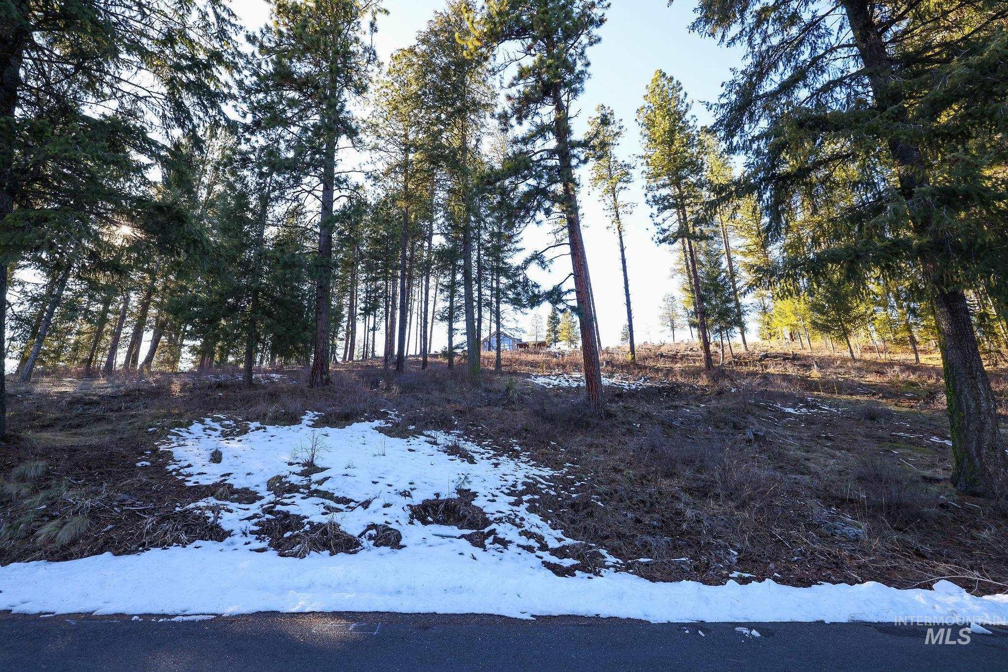 Lot 7 Camas Dr Property Photo 4