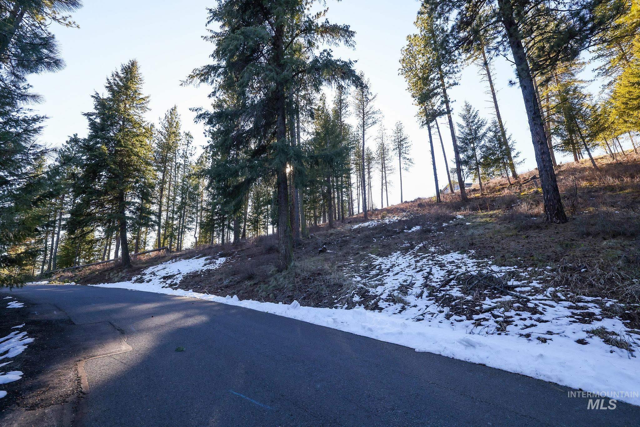 Lot 7 Camas Dr Property Photo 5