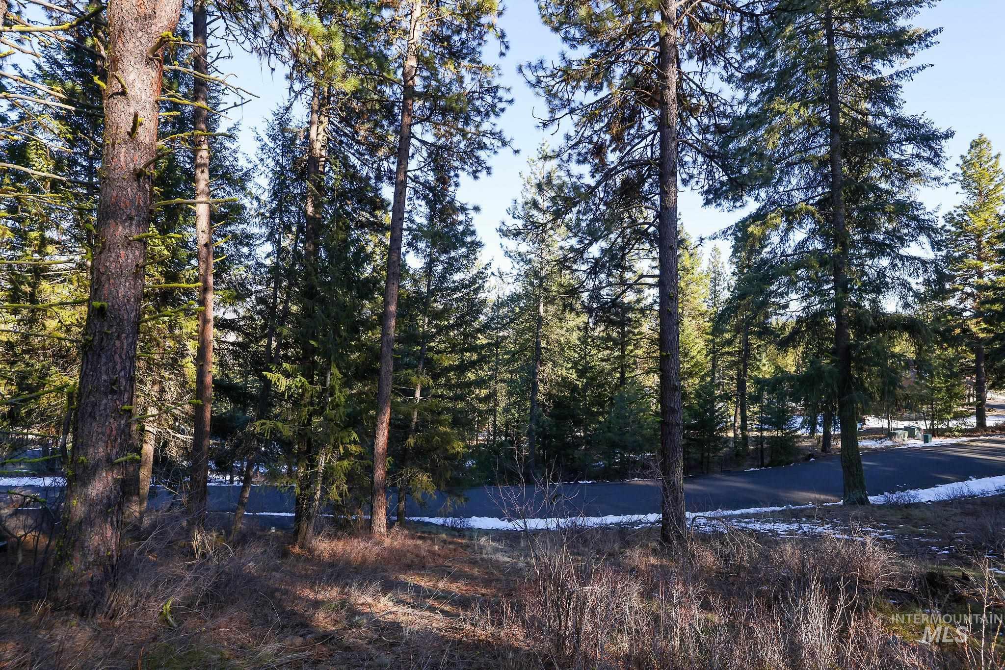 Lot 7 Camas Dr Property Photo 6