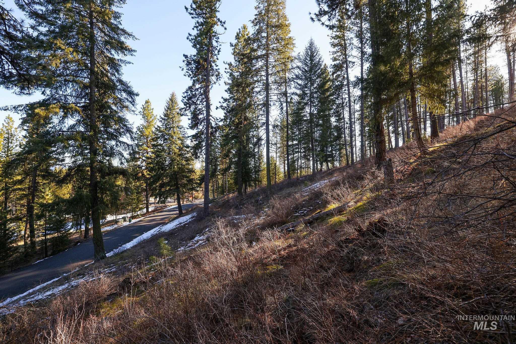 Lot 7 Camas Dr Property Photo 7