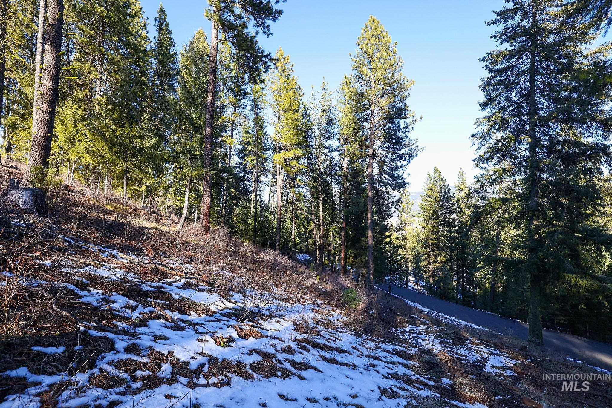 Lot 7 Camas Dr Property Photo 9