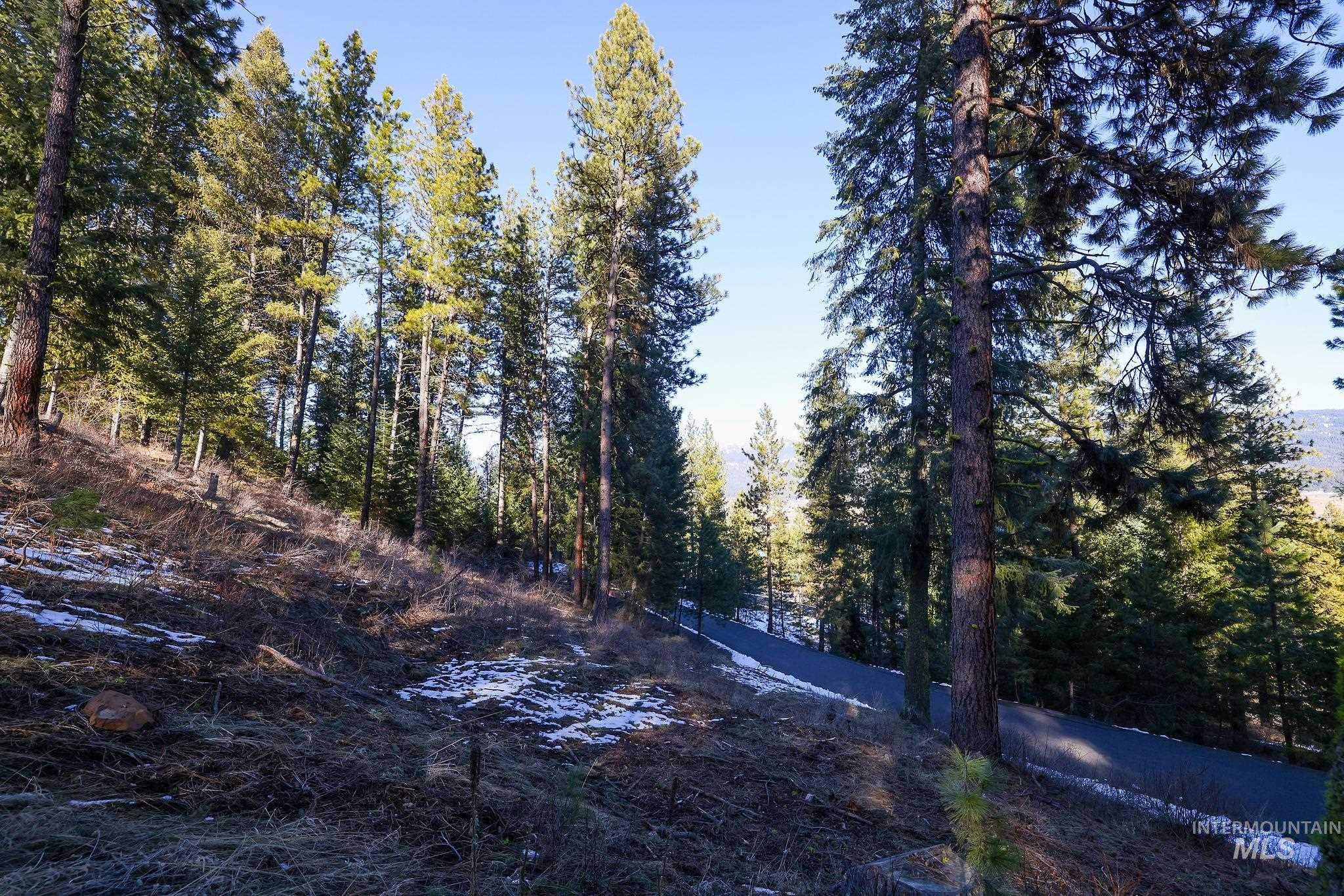 Lot 7 Camas Dr Property Photo 10