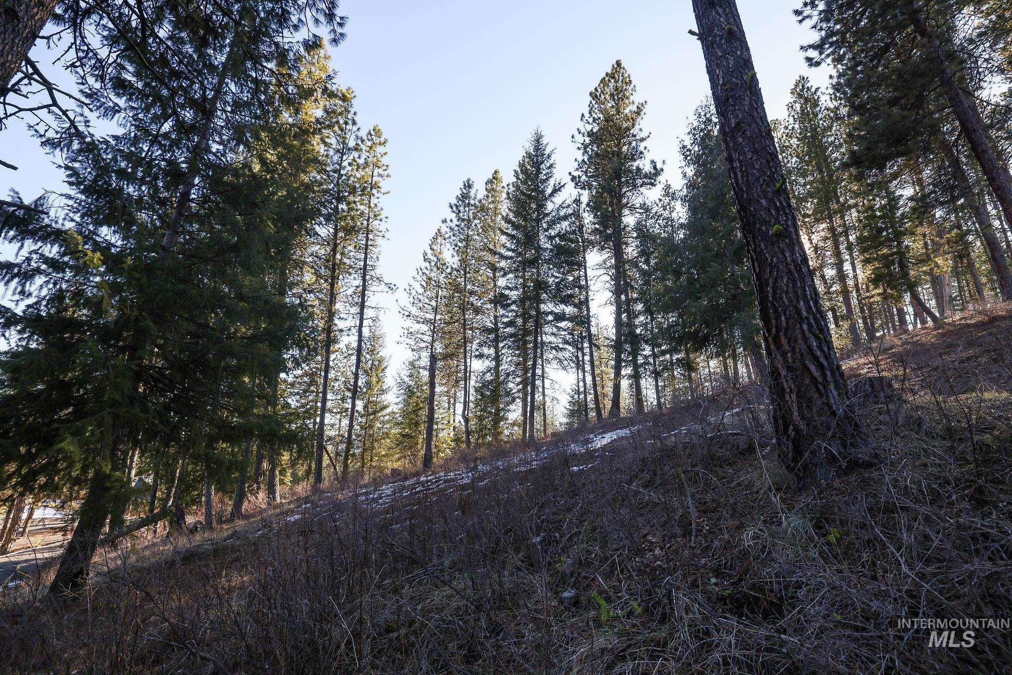 Lot 7 Camas Dr Property Photo 11