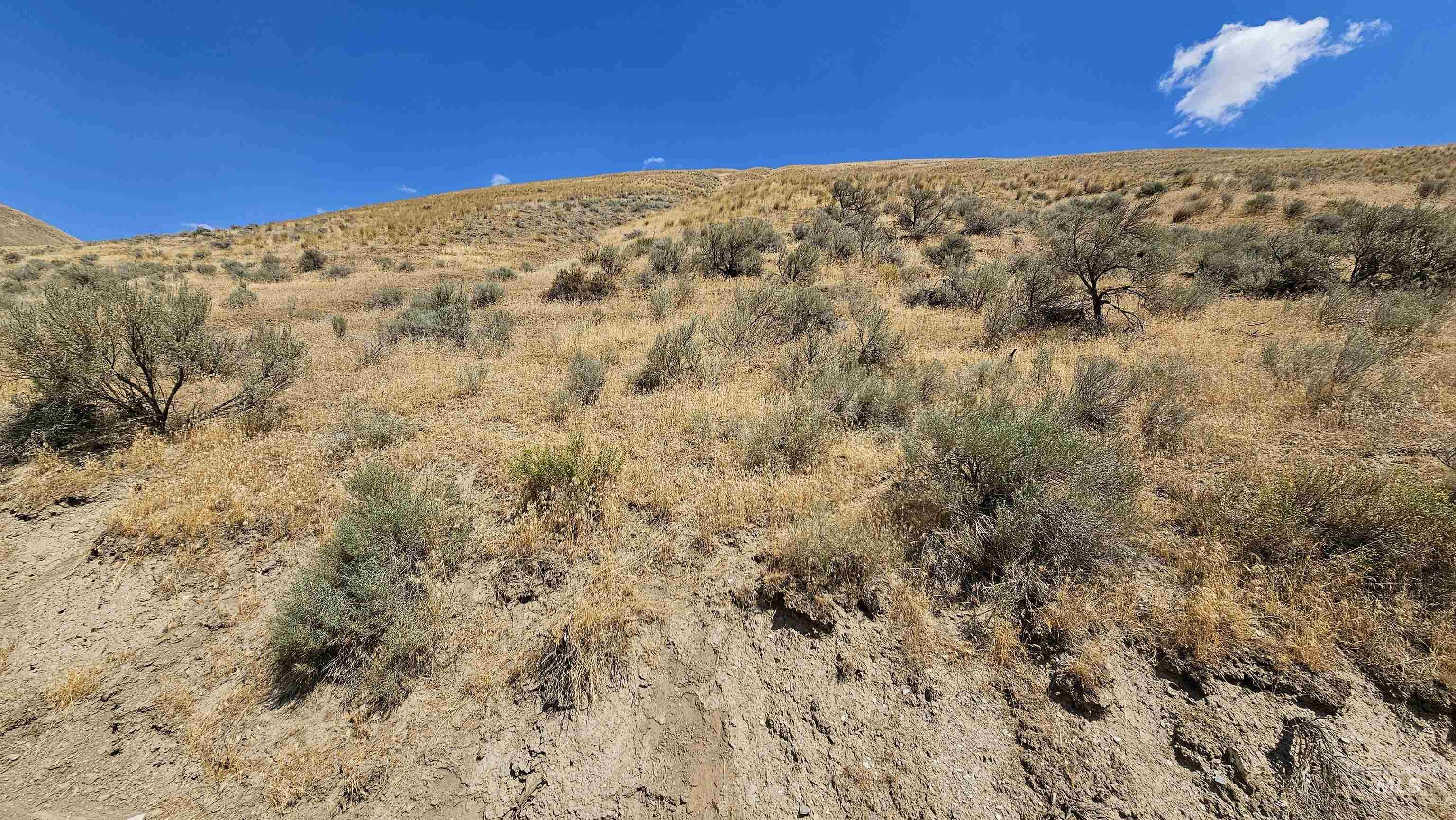 Tbd 2 Parcels Rock Creek Rd Property Photo 4