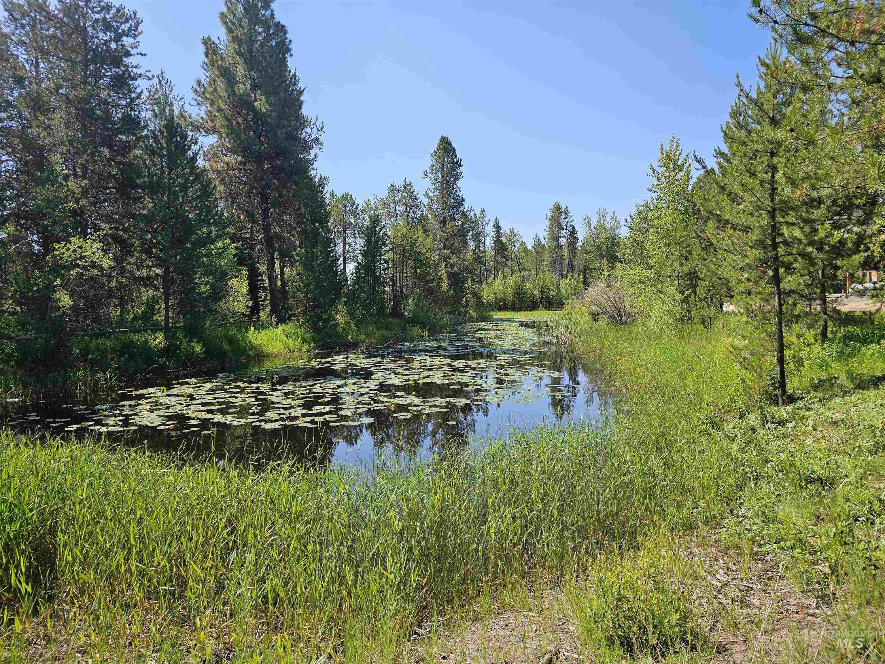12930 Dawn Dr. Property Photo 44