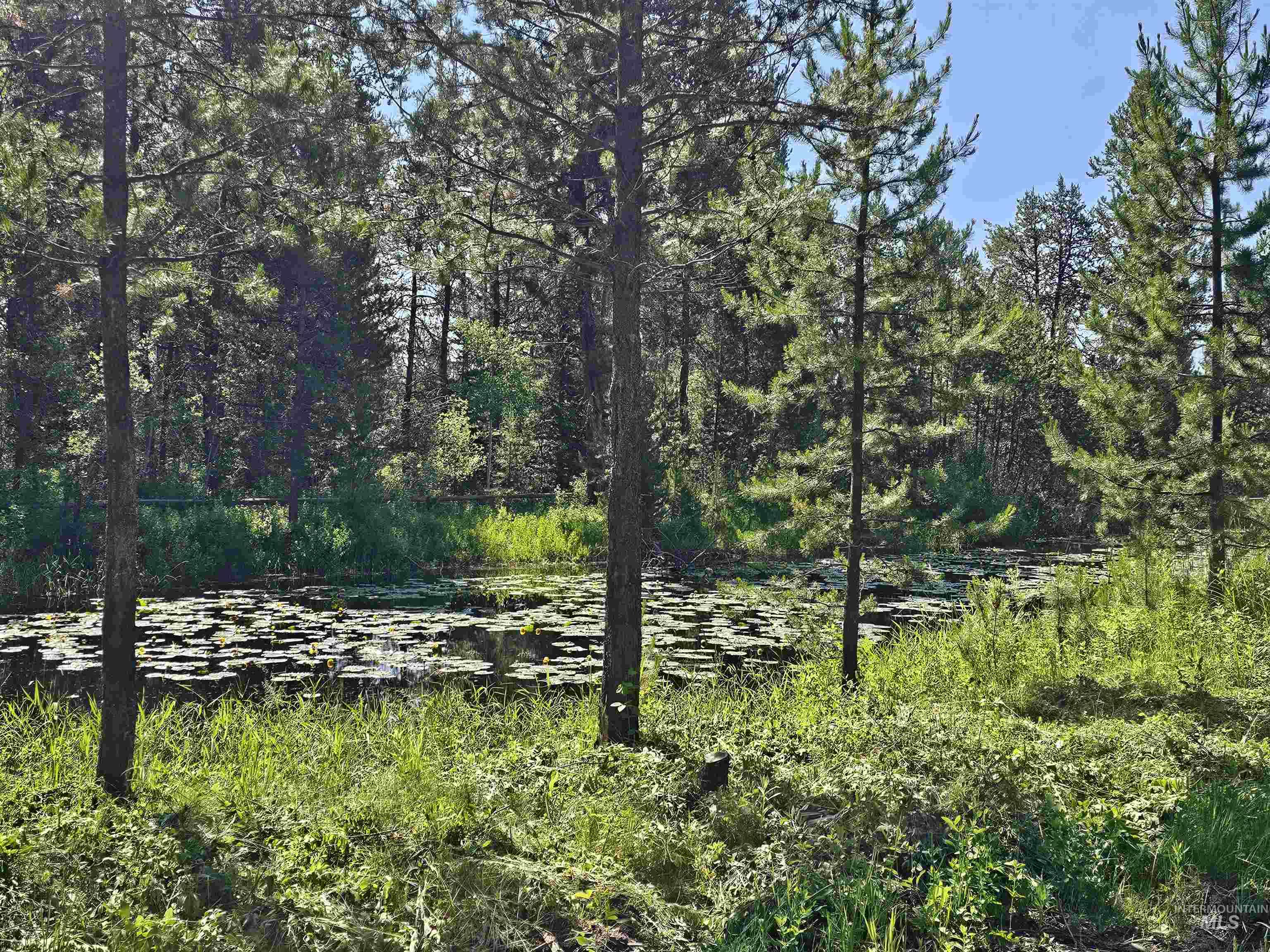 12930 Dawn Dr. Property Photo 45