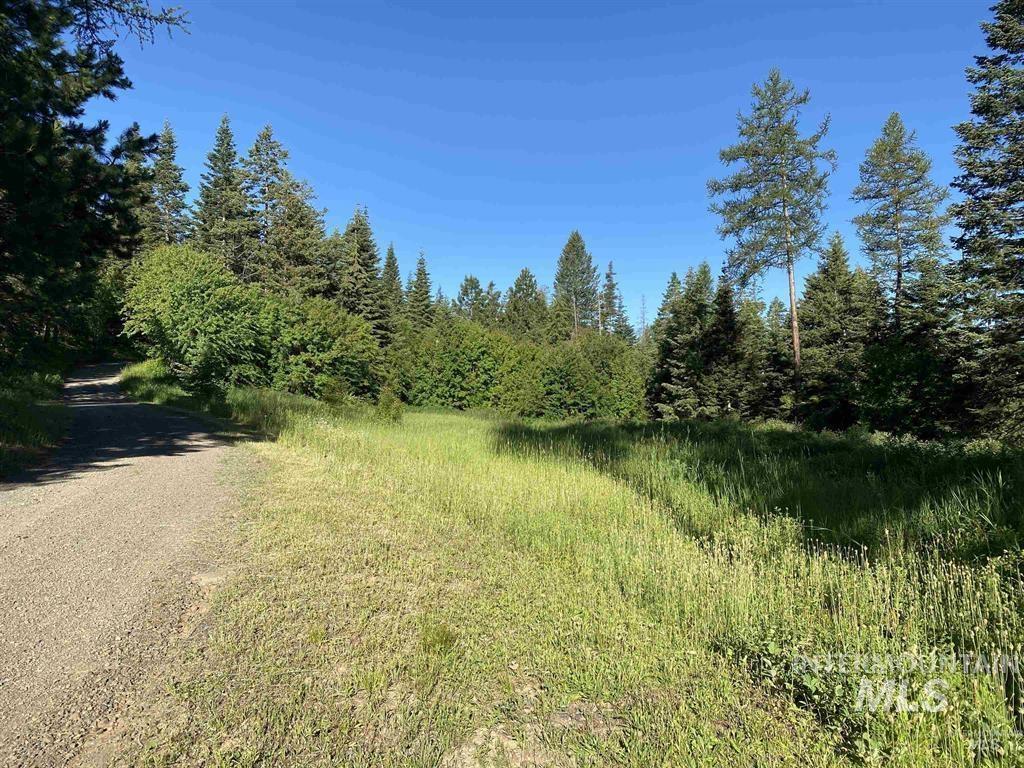Tbd Buckboard Lane Property Photo 3