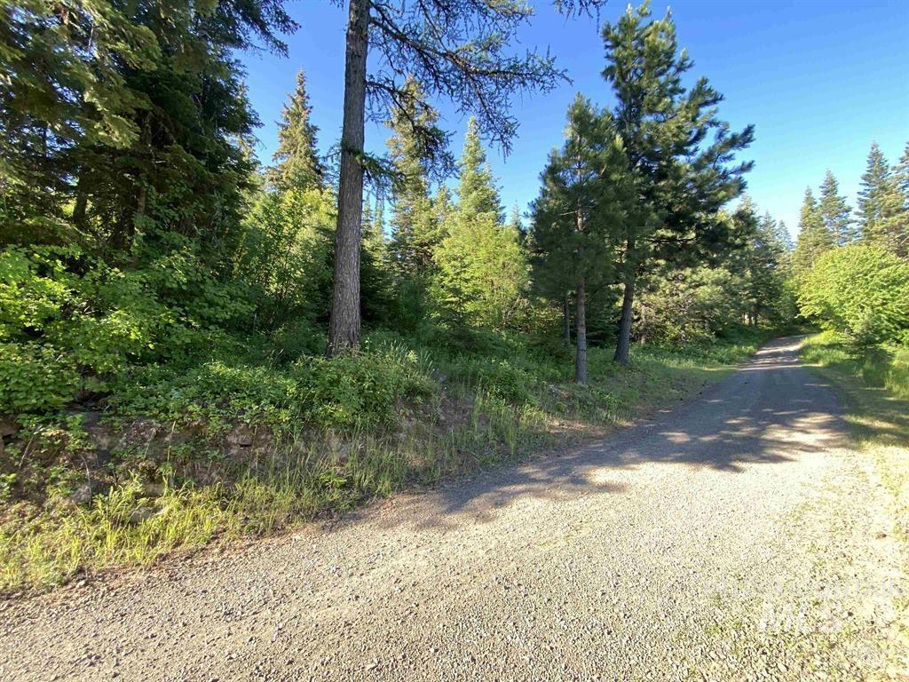 Tbd Buckboard Lane Property Photo 6