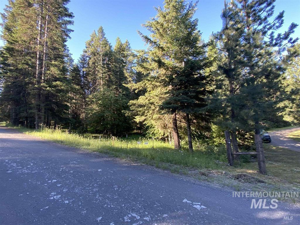 Tbd Buckboard Lane Property Photo 7