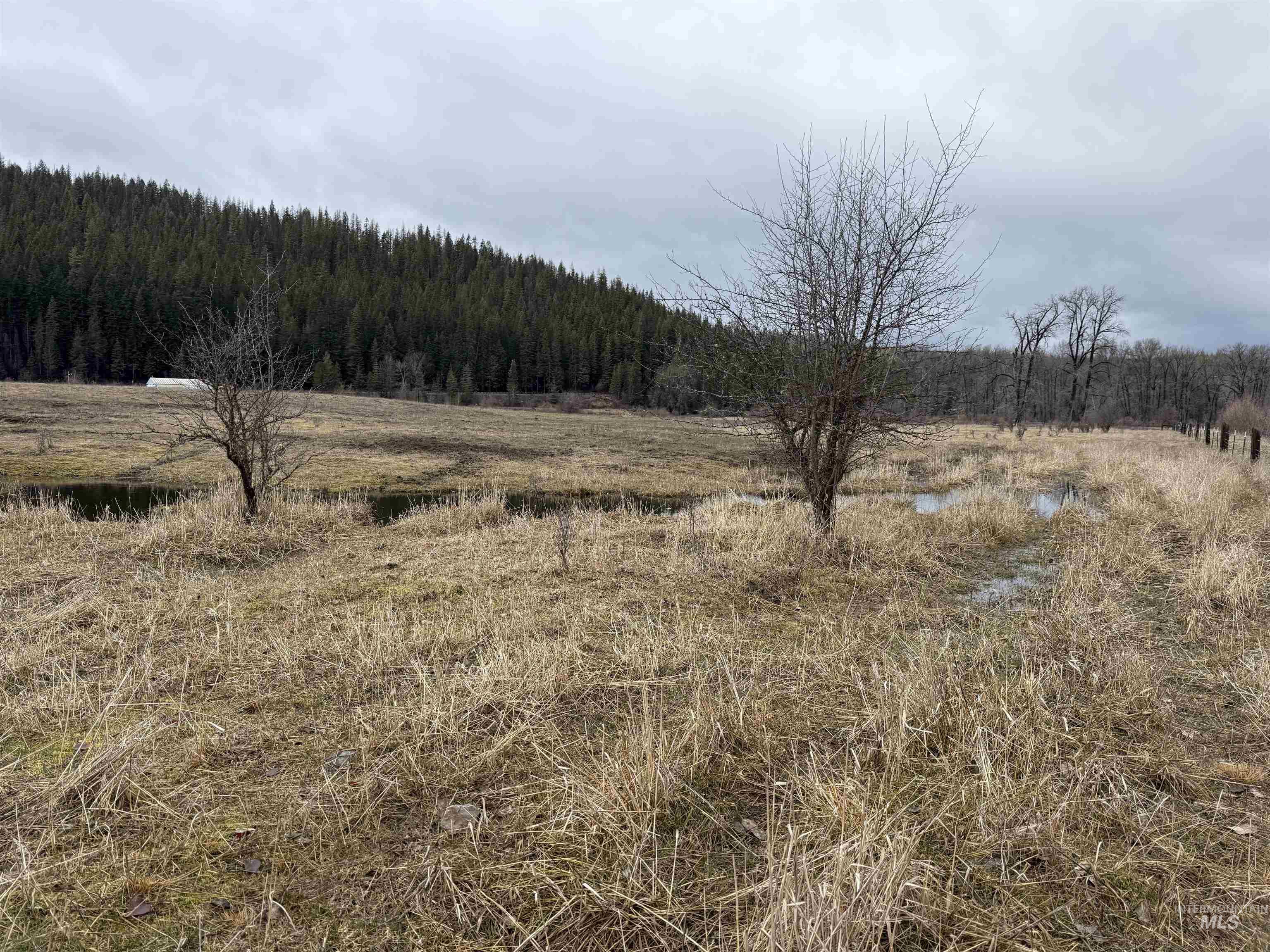 Tbd Bare Land Parcel 2 Property Photo 17