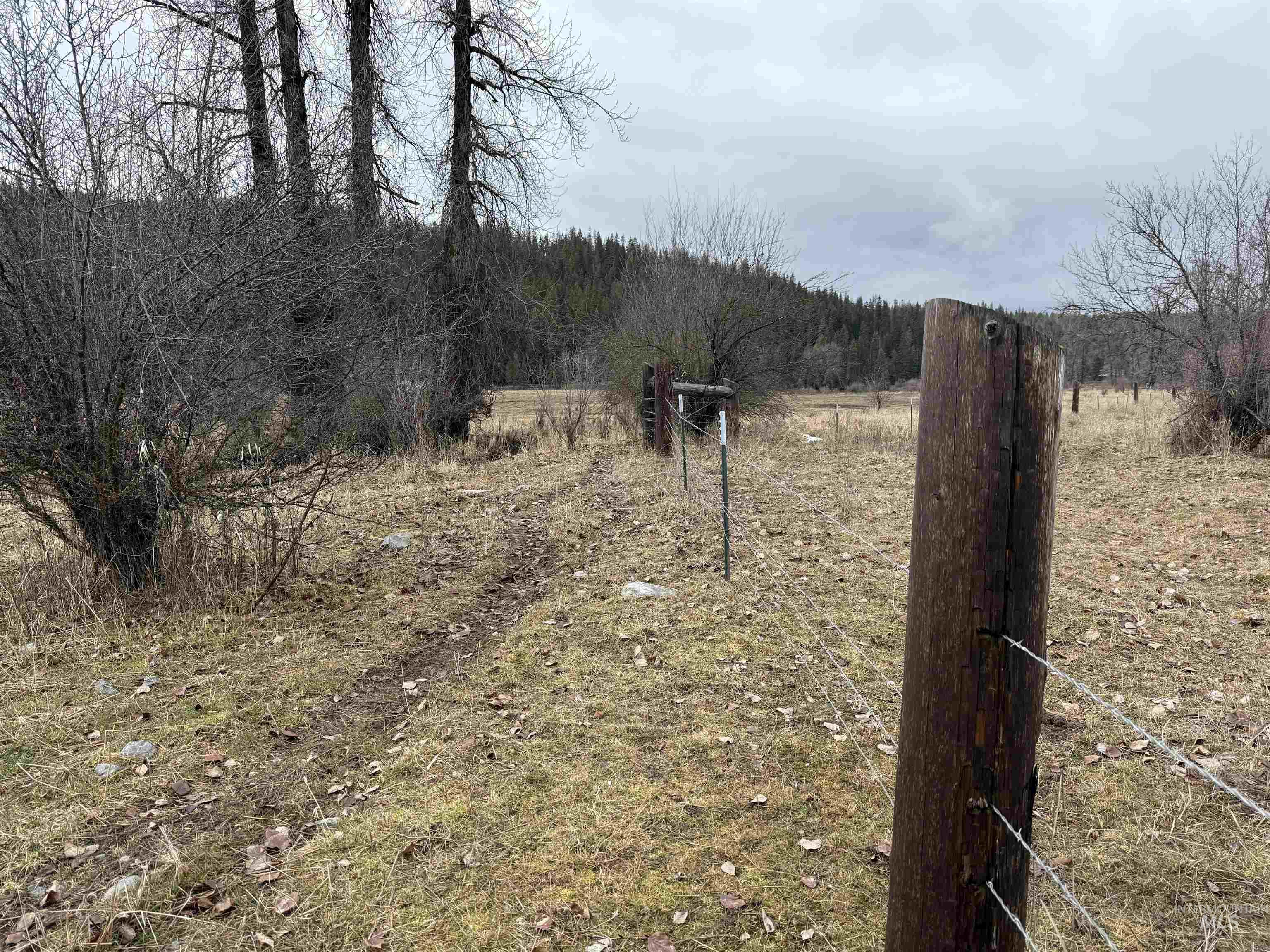 Tbd Bare Land Parcel 2 Property Photo 21