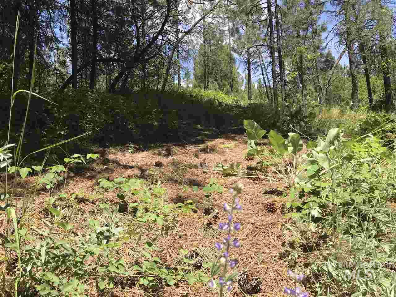 Lot 2 Card Creek, Casey Estates#3 Property Photo 4