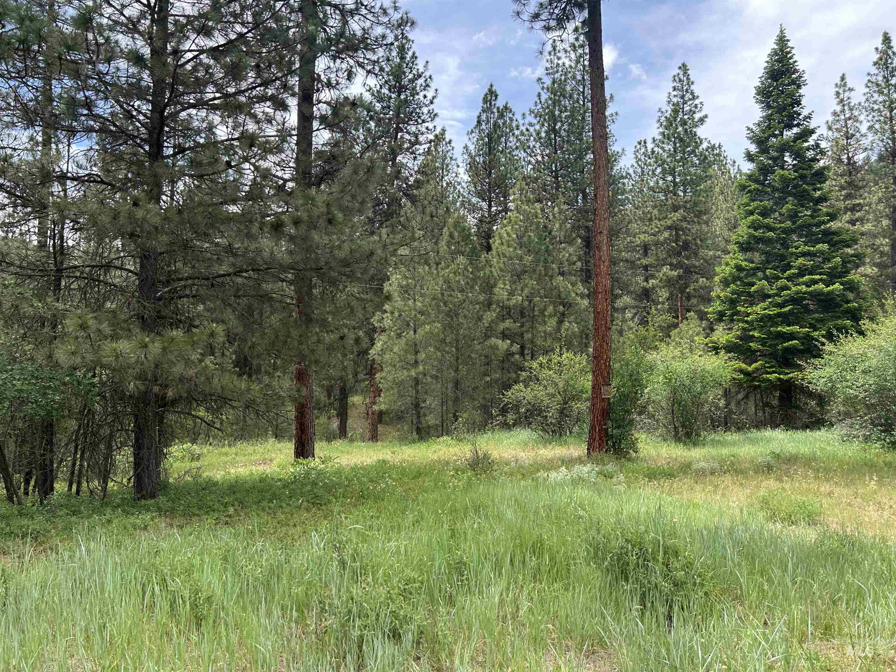 Lot 1 Card Creek, Casey Estates#3 Property Photo 10