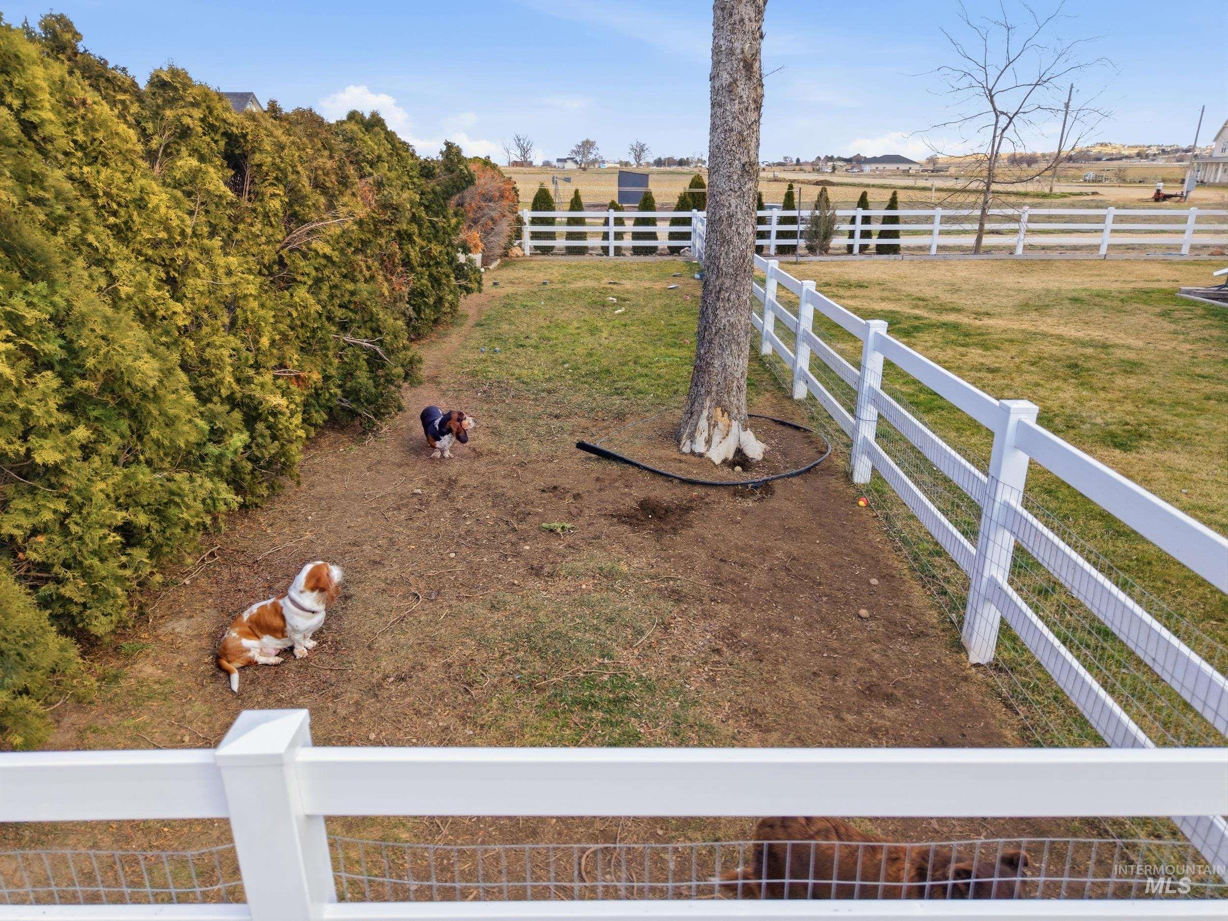 9762 Deer Flat Rd Property Photo 23