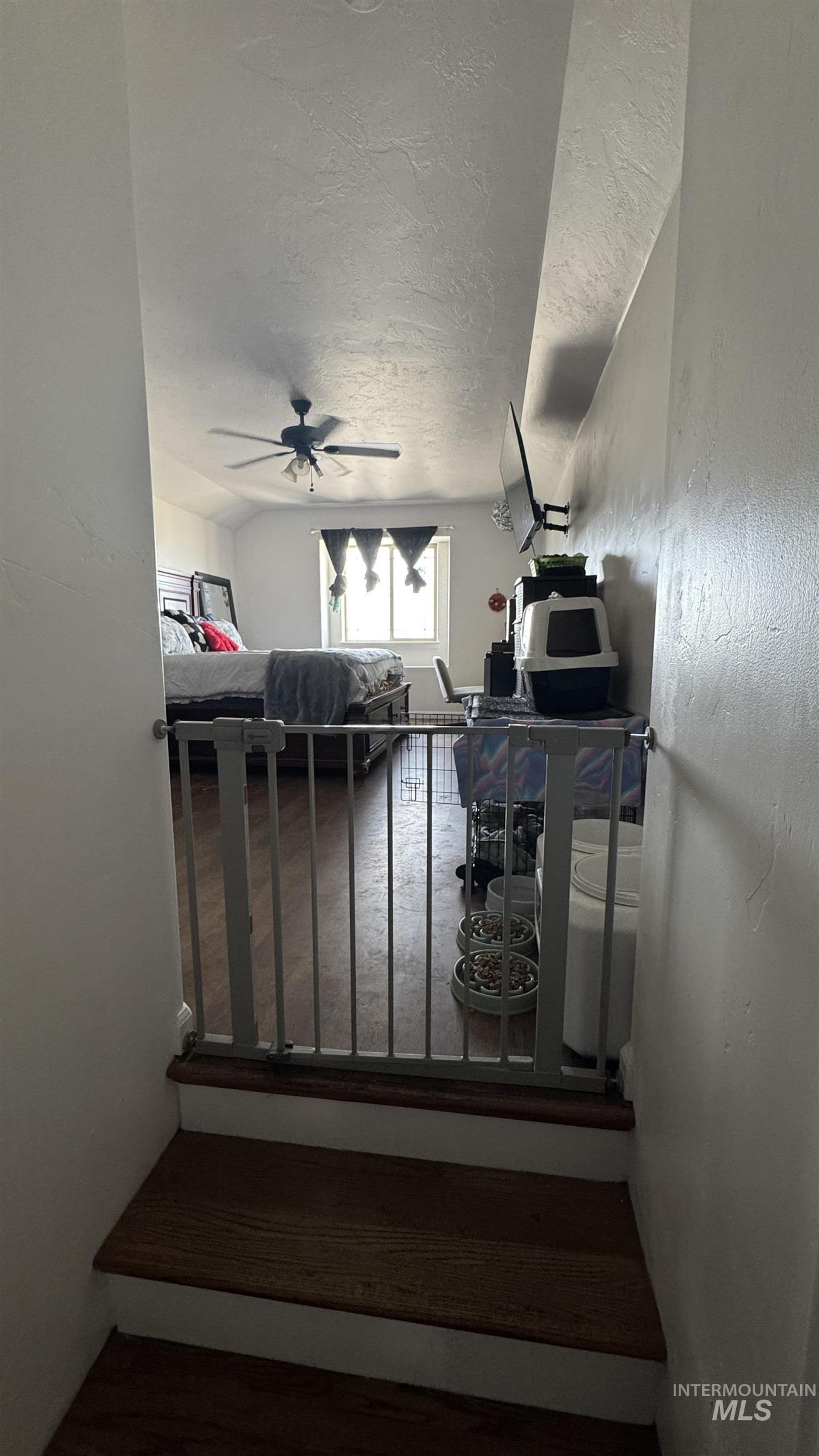 817 Owl Court Property Photo 25