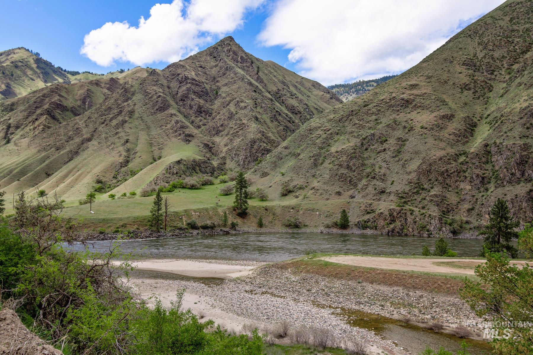 1175 Big Salmon River Rd Property Photo 19
