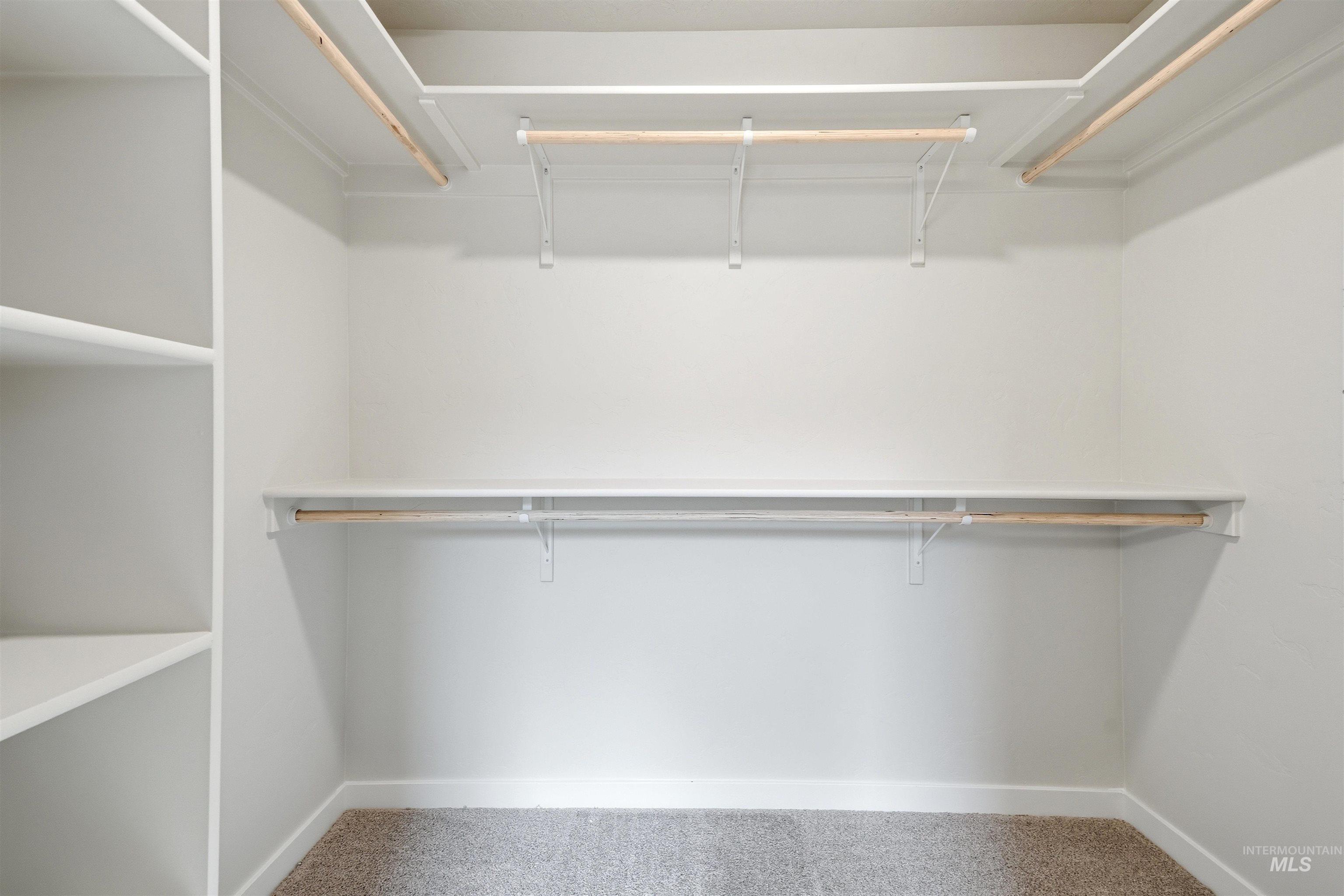 10103 Bellevue Ridge St Property Photo 16