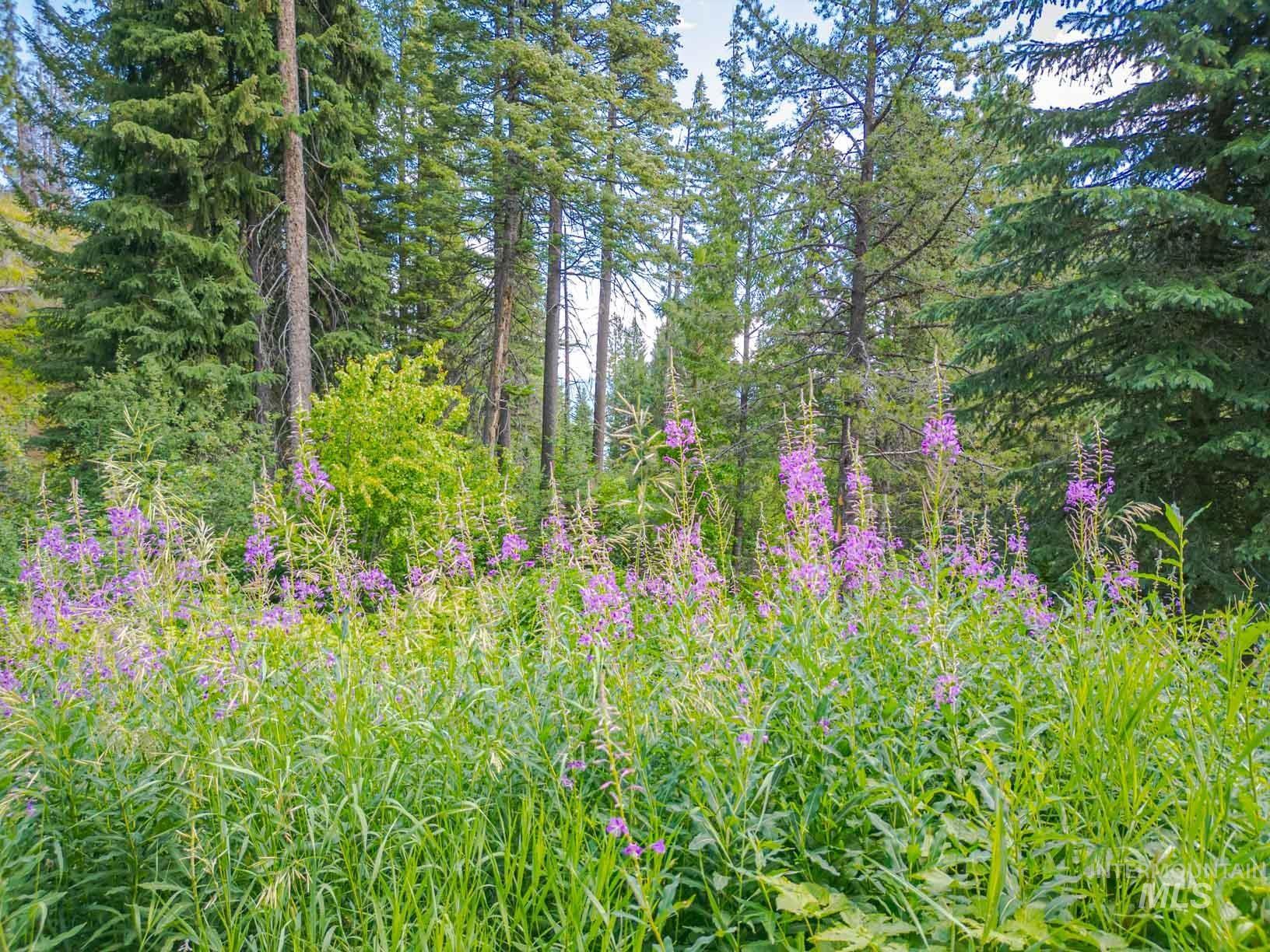 Tbd West Mountain Property Photo 30