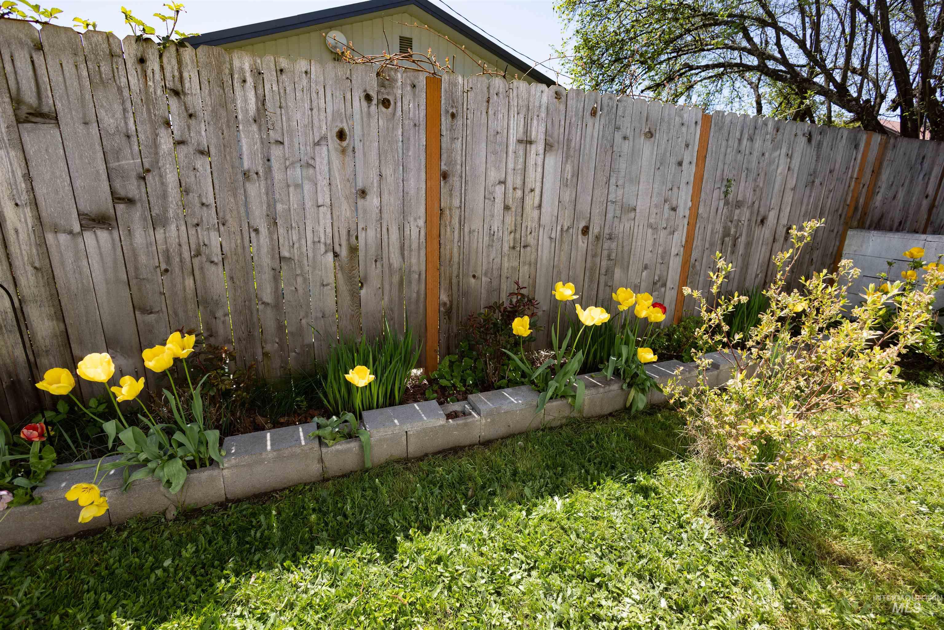 712 Hill St Property Photo 4