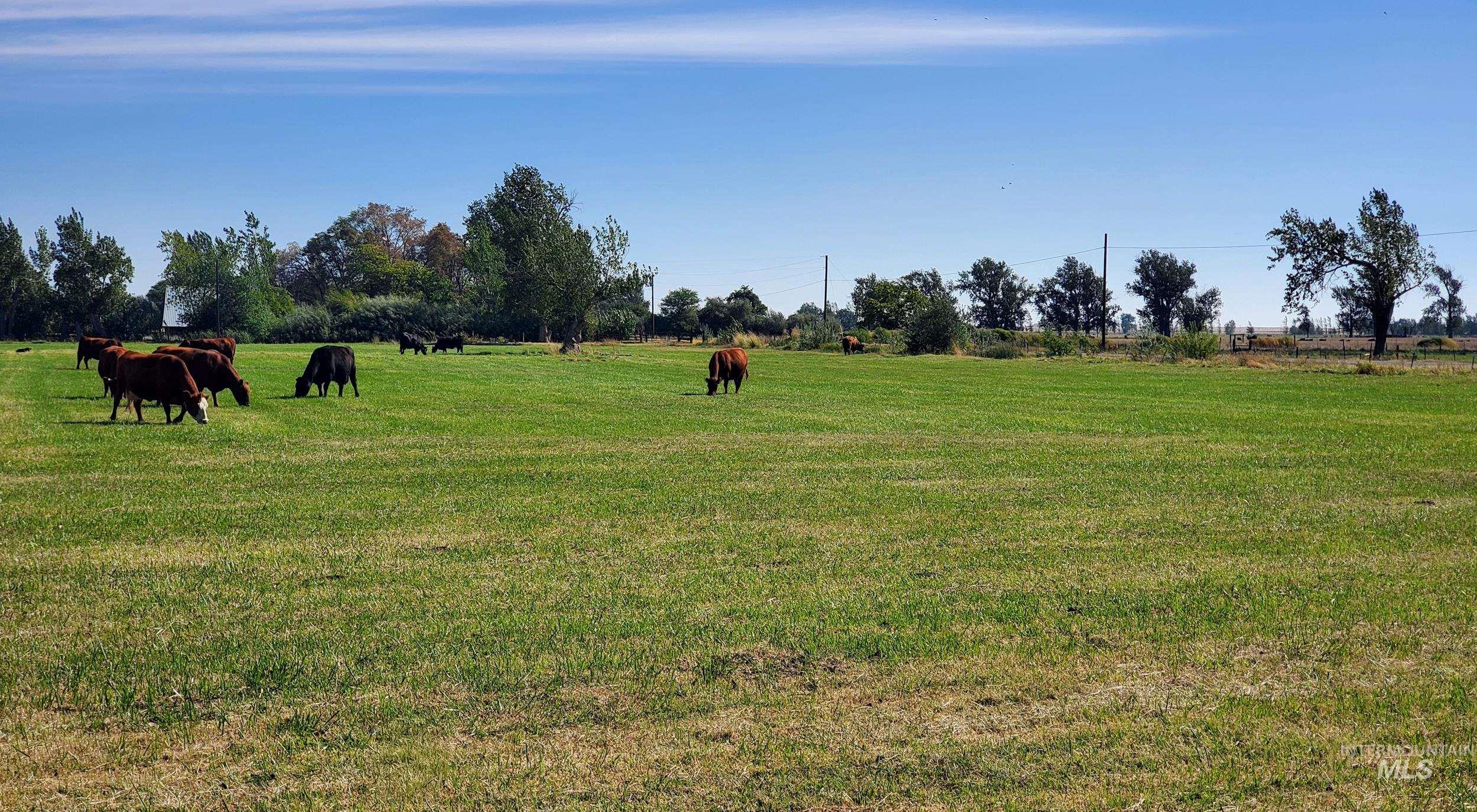 98978028 Property Photo 4