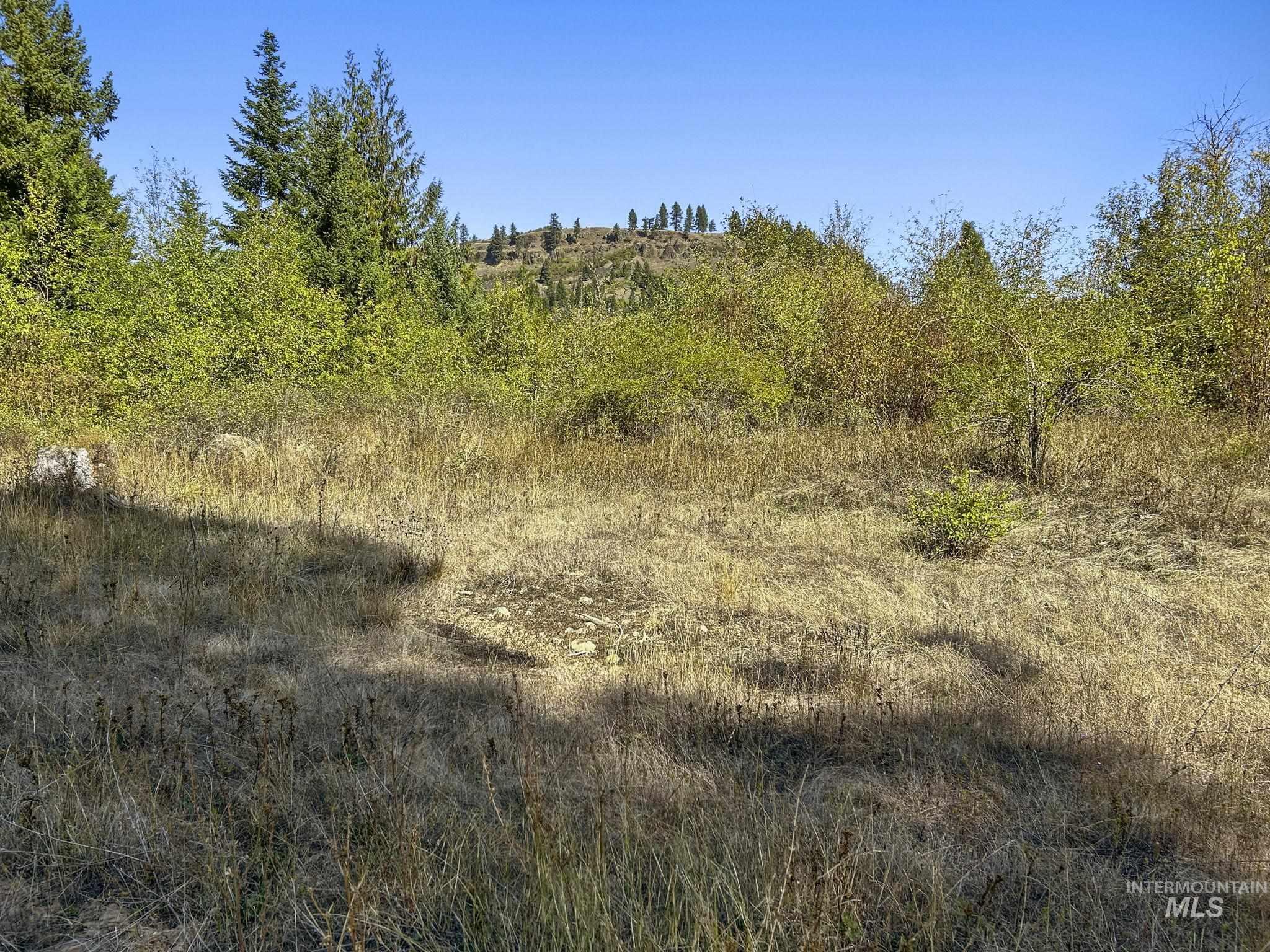 Nka North Road Property Photo 27