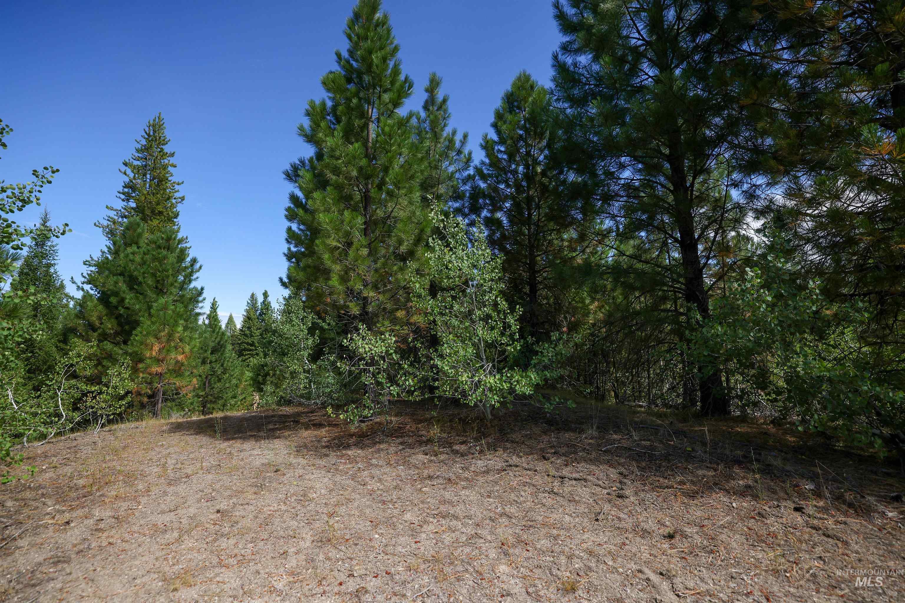 47 Coit Dr Property Photo 6