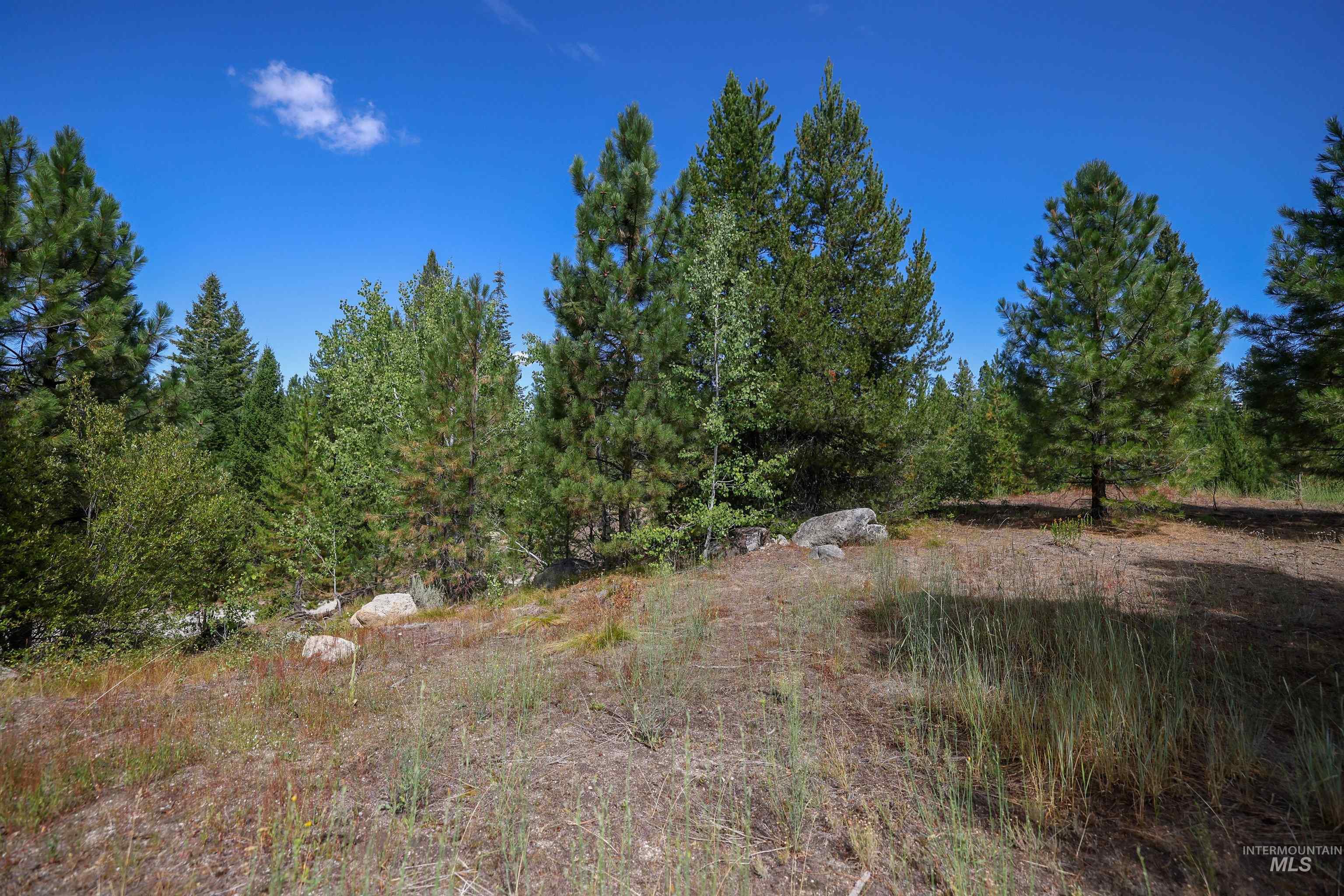47 Coit Dr Property Photo 8