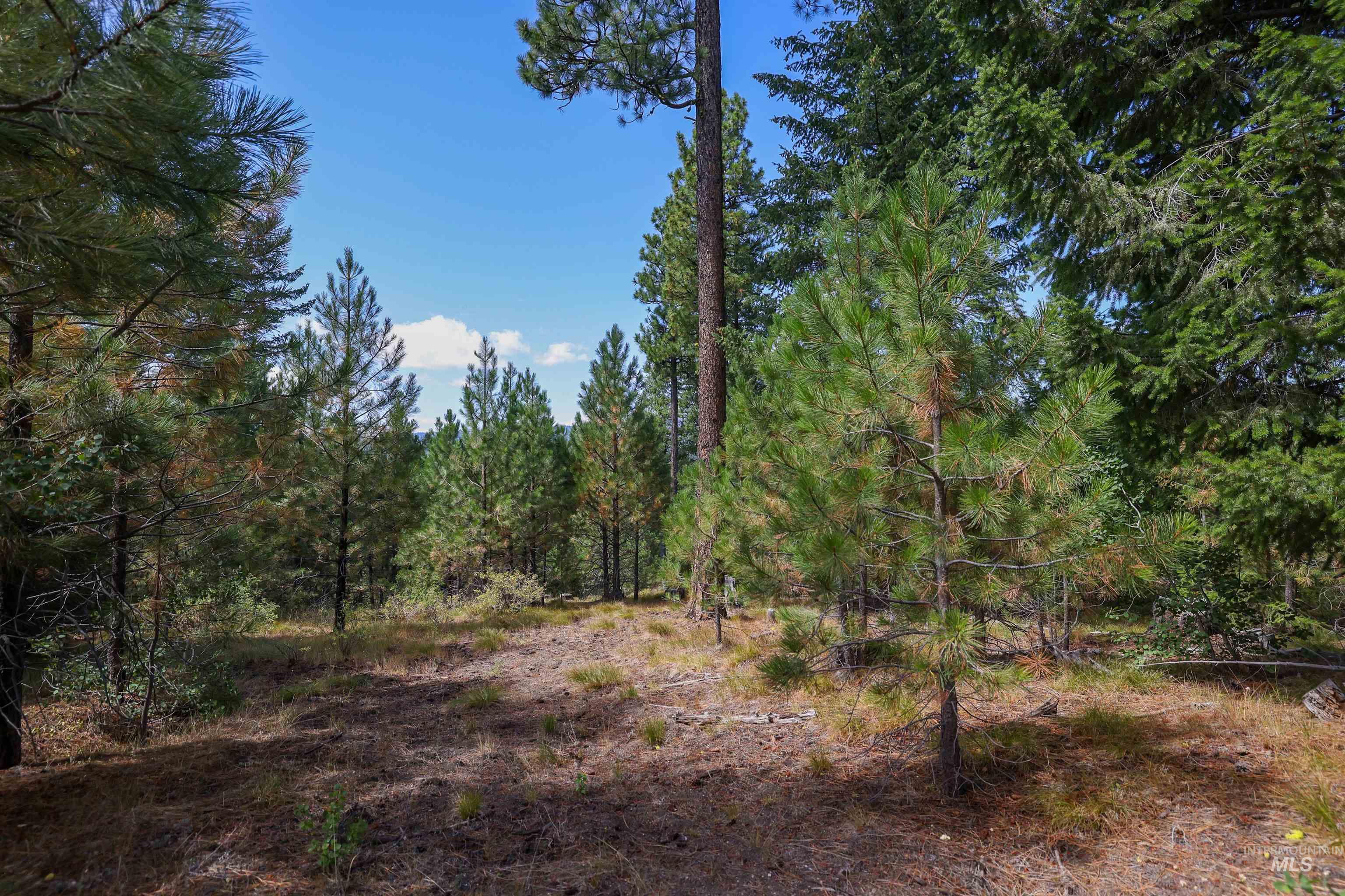 47 Coit Dr Property Photo 11