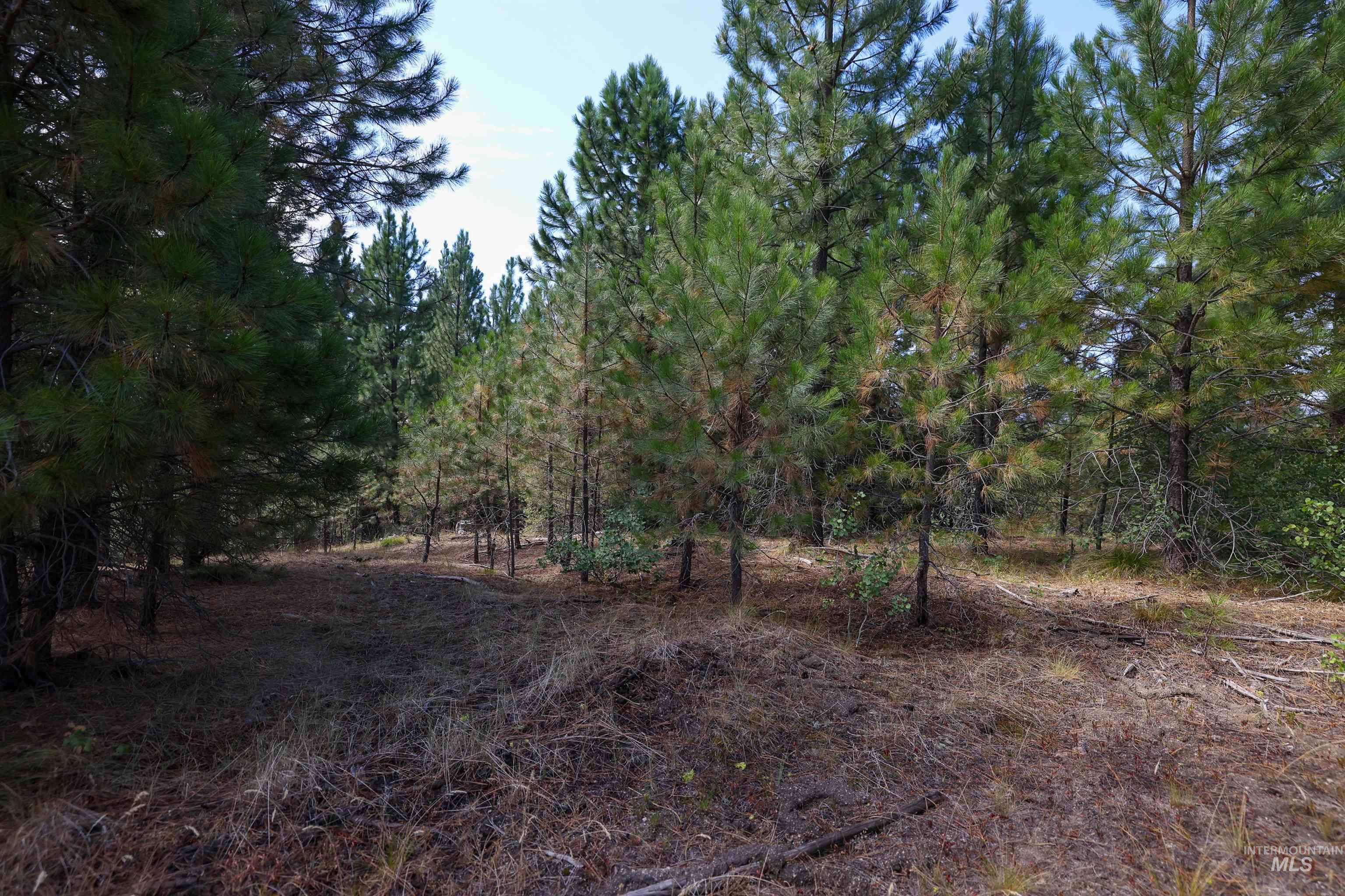 47 Coit Dr Property Photo 12