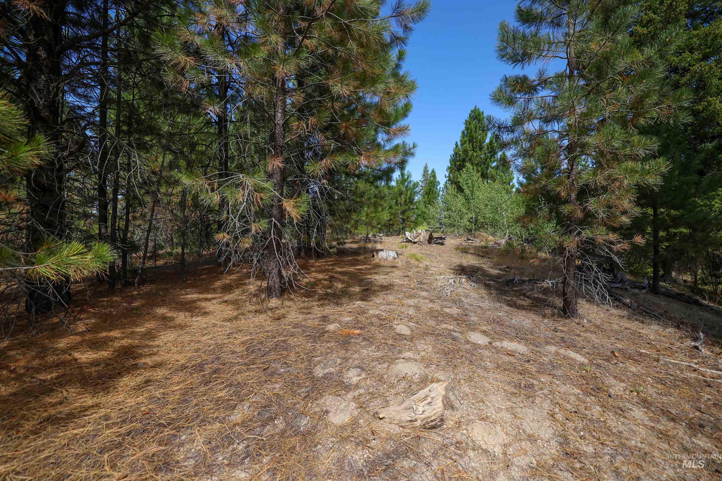 47 Coit Dr Property Photo 15