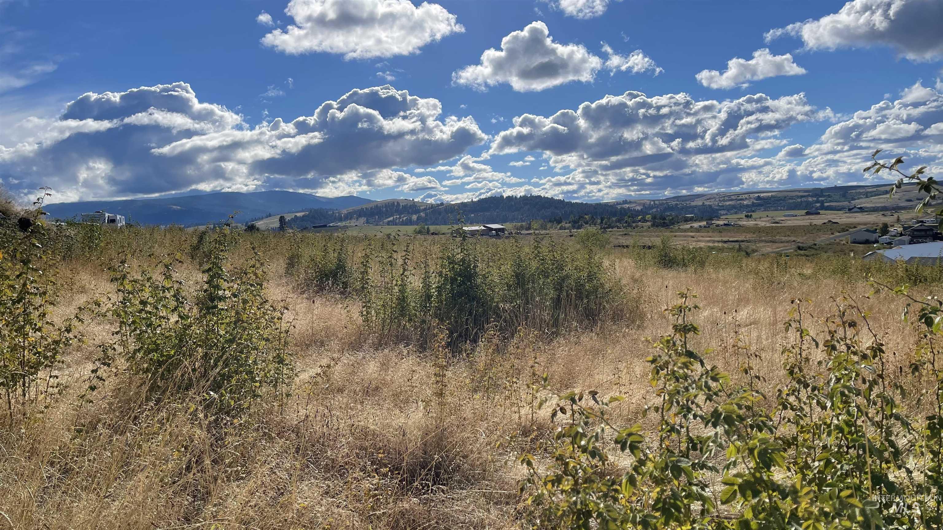 Tbd Golden Hills Dr Property Photo 15